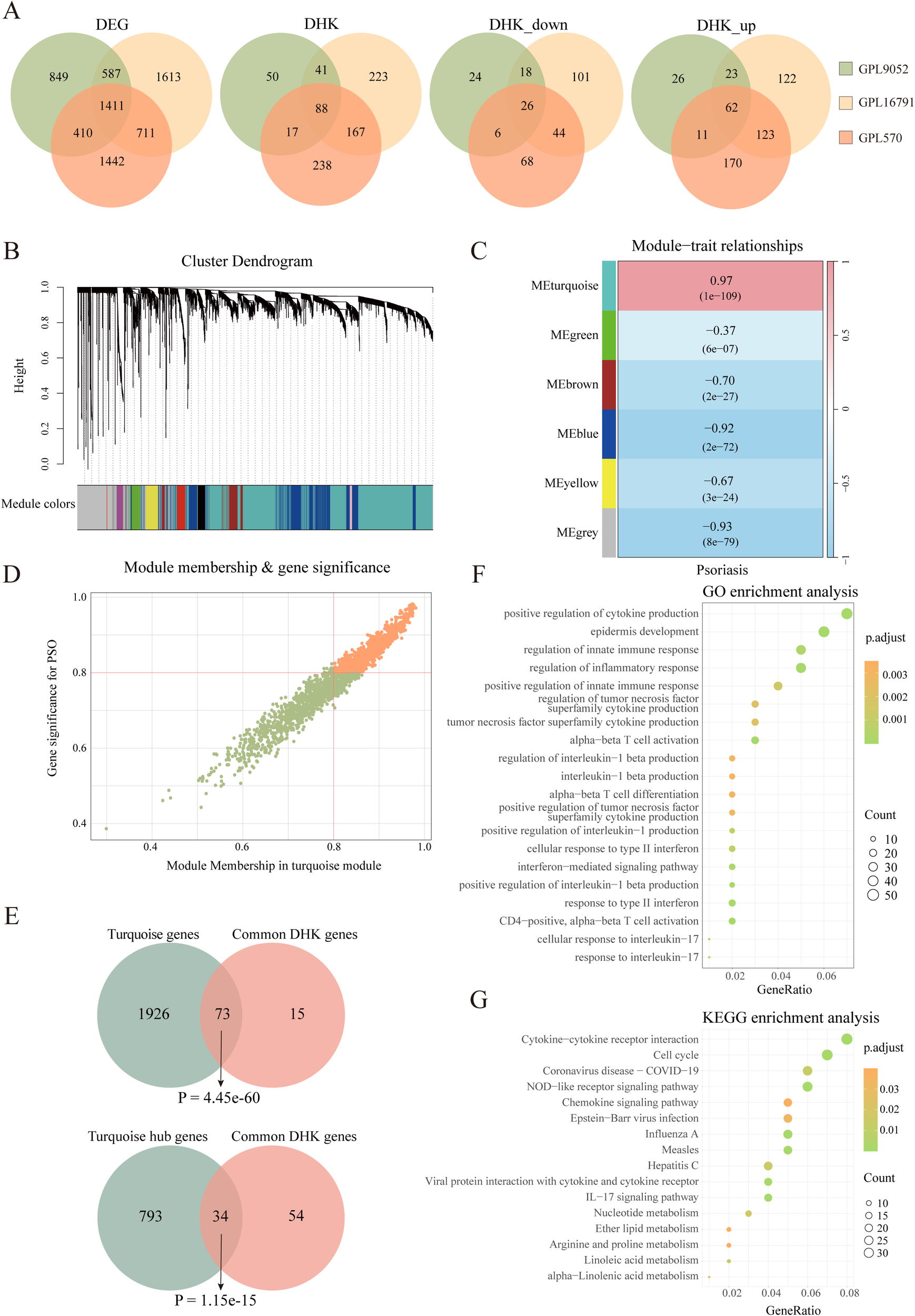 Panel A shows Venn diagrams comparing different gene datasets. Panel B presents a cluster dendrogram with module colors. Panel C is a heatmap of module-trait relationships. Panel D plots module membership against gene significance. Panel E includes Venn diagrams comparing turquoise and common DHK genes. Panel F details dot plots of gene ontology enrichment analysis for psoriasis. Panel G displays dot plots for KEGG enrichment analysis with significance indicated by color scales and dot sizes.