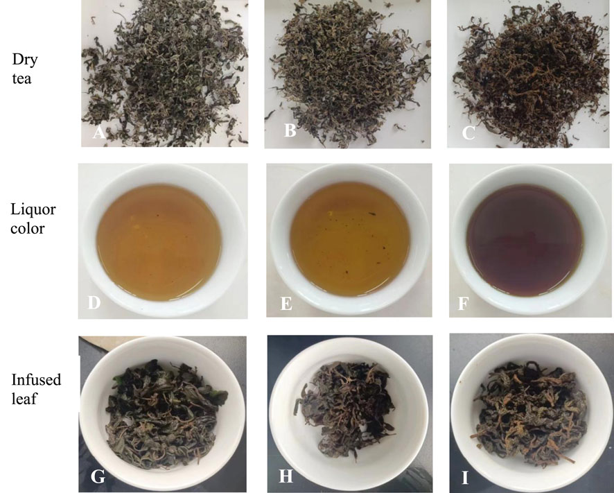 Three rows with three images each show dry tea leaves, liquor color, and infused leaves. The top row features dry tea labeled A, B, and C. The middle row displays the liquor color in bowls labeled D, E, and F, with varying shades of brown to purple. The bottom row shows the infused leaves in bowls labeled G, H, and I.
