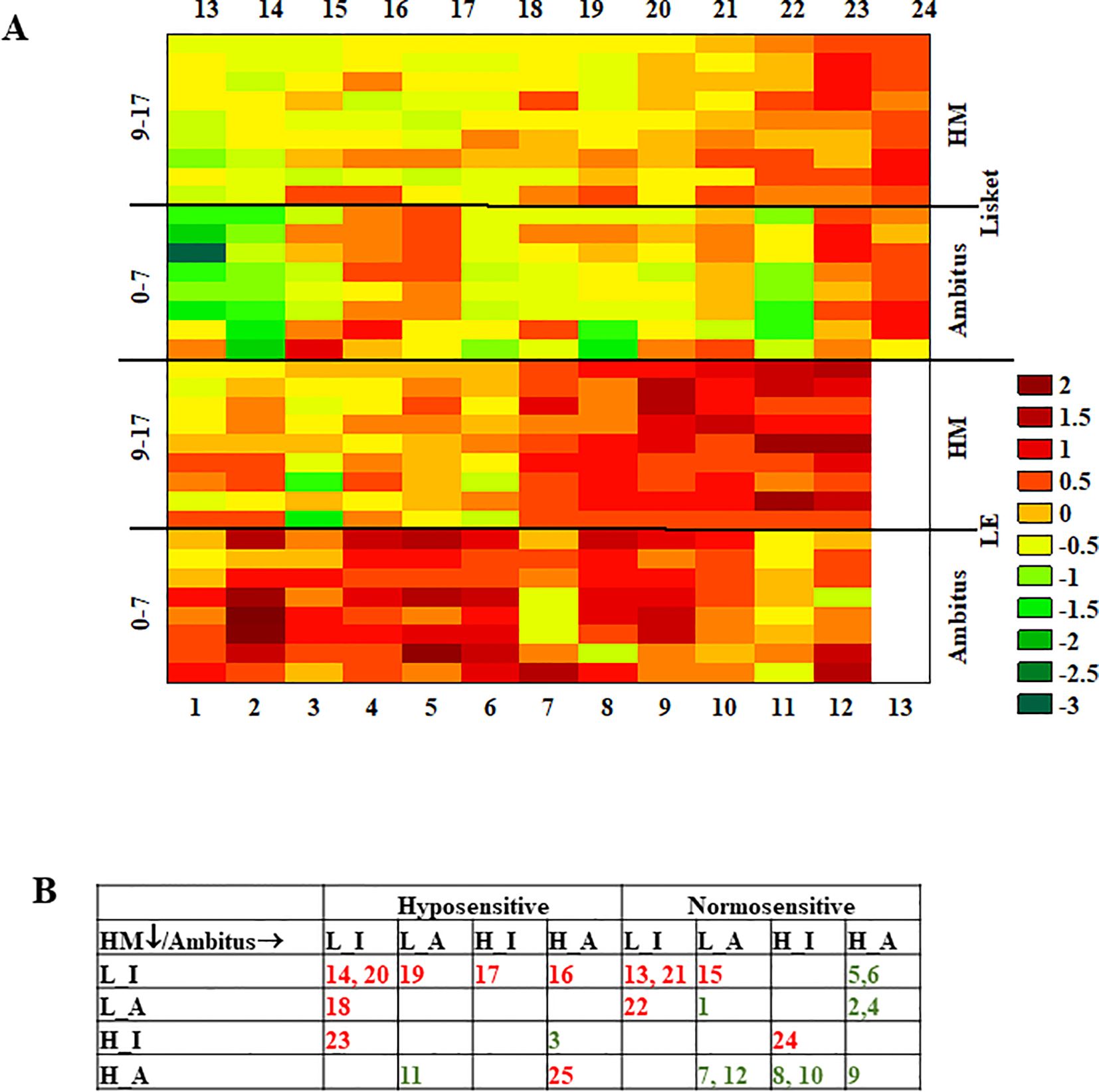 Heatmap and table displaying data on sensitivity levels. Heatmap (A) uses a color gradient from red (2) to green (-3) to depict various values across different sections labeled HM, Lisket, LE, and Ambitus. The table (B) categorizes data into hyposensitive and normosensitive groups with values in different colors, indicating levels within combinations like L_I, L_A, H_I, and H_A.