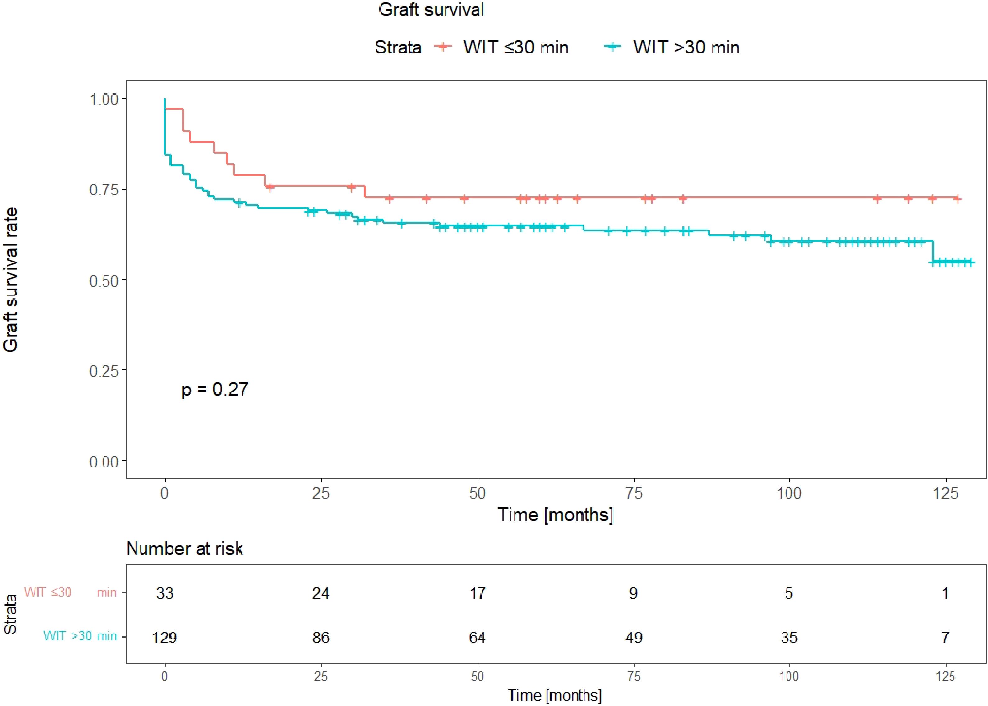 Kaplan-Meier survival curve showing graft survival rates over time in months for two groups: WIT ≤ 30 minutes (red) and WIT > 30 minutes (blue). The p-value is 0.27, indicating no significant difference between groups. A table below lists the number at risk at different time intervals.