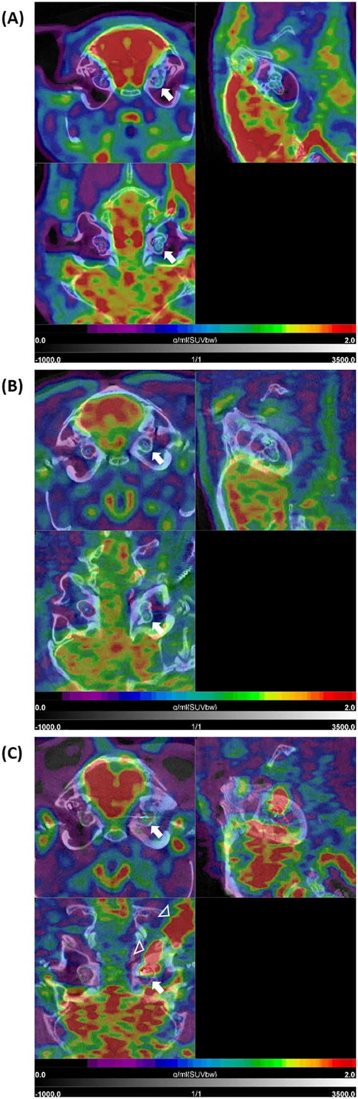 PET scan images in three panels labeled A, B, and C. Each panel displays a color-coded thermal map with arrows indicating areas of interest. The color scale beneath each image ranges from blue to red, representing different activity levels. Panel A and B highlight specific regions with white arrows. Panel C shows multiple areas marked by arrows and triangles.