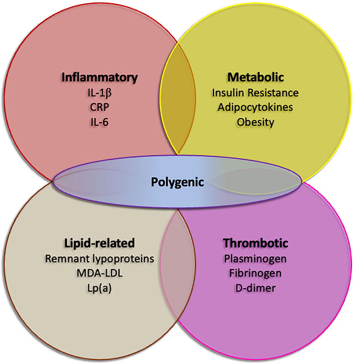 Venn diagram illustrating the overlap of four health-related factors: Inflammatory (IL-1β, CRP, IL-6), Metabolic (Insulin Resistance, Adipocytokines, Obesity), Lipid-related (Remnant lipoproteins, MDA-LDL, Lp(a)), and Thrombotic (Plasminogen, Fibrinogen, D-dimer). The central overlap is labeled Polygenic.