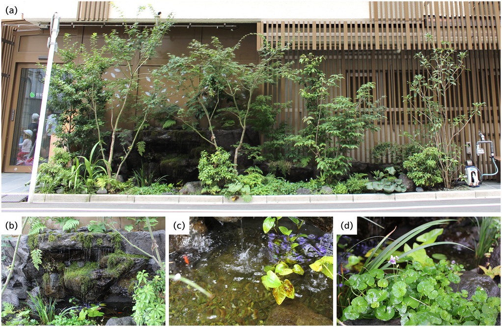 (a) Urban garden with various trees and plants against a building's facade. (b) Close-up of a rock waterfall with ferns and lush greenery. (c) Water with a small fish near leaves. (d) Green leafy plants with a small purple flower.
