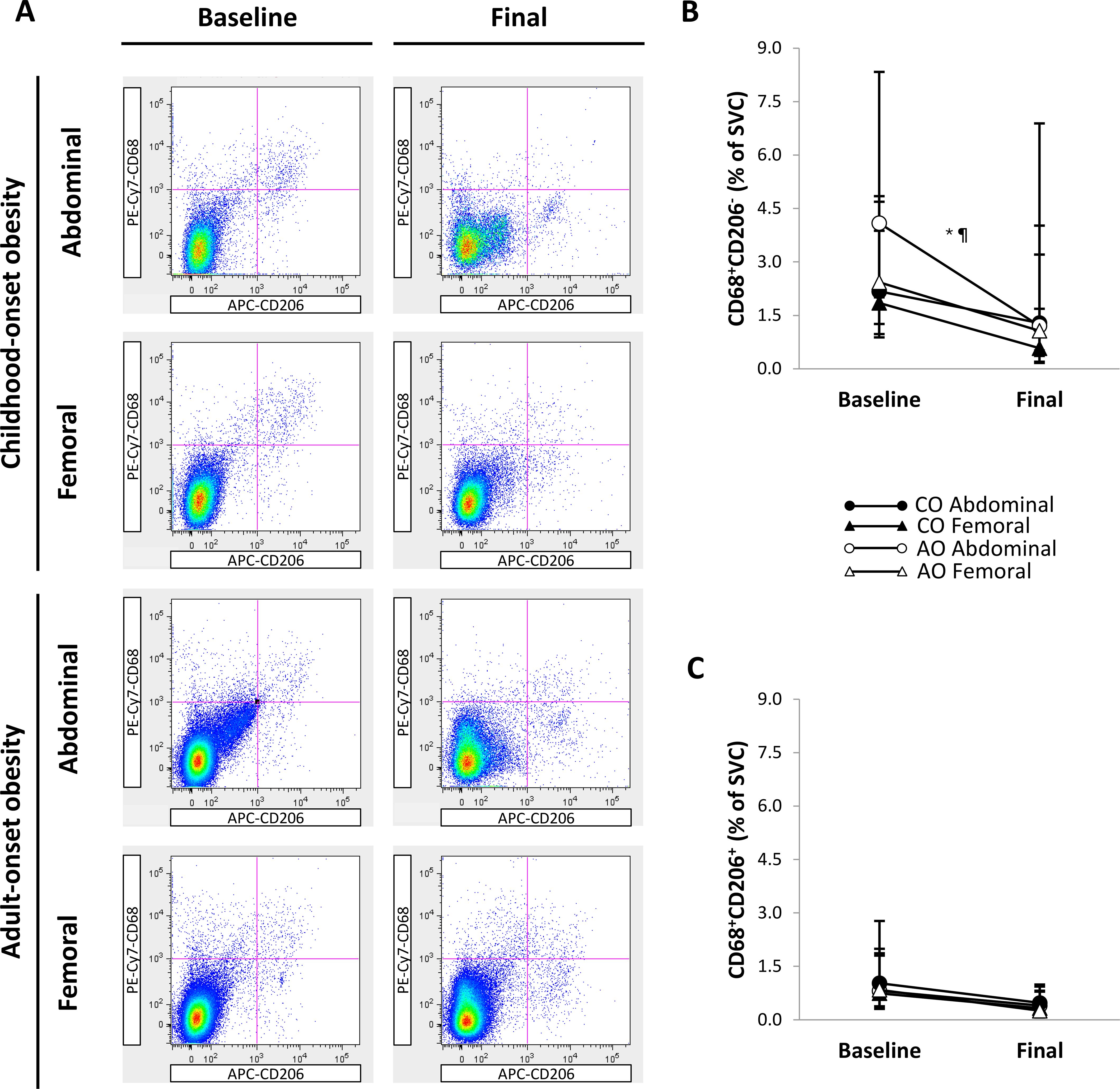 Flow cytometry plots and two line graphs show baseline and final macrophage populations in the abdominal and femoral subcutaneous adipose tissue (SAT) of two groups: childhood-onset obesity (CO) and adult-onset obesity (AO). Graph B shows that the abdominal region of AO had the greatest percentage of CD68+CD206- macrophages at baseline and the greatest decrease from baseline to final. At the final time point, percentages of CD68+CD206- macrophages were similar across groups and SAT regions. Graph C shows CD68+CD206+ macrophage percentages, which remained low across groups and SAT regions over time.