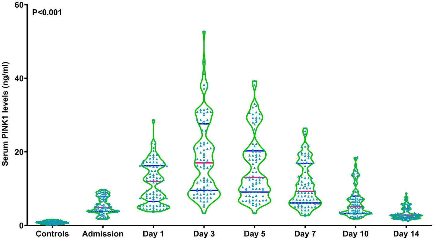 Violin plot showing serum PINK1 levels (ng/ml) over time for controls, admission, and days one, three, five, seven, ten, and fourteen. The levels significantly increase on days three, five, and seven, peaking at around 60 ng/ml. Statistical significance is indicated as P<0.001.