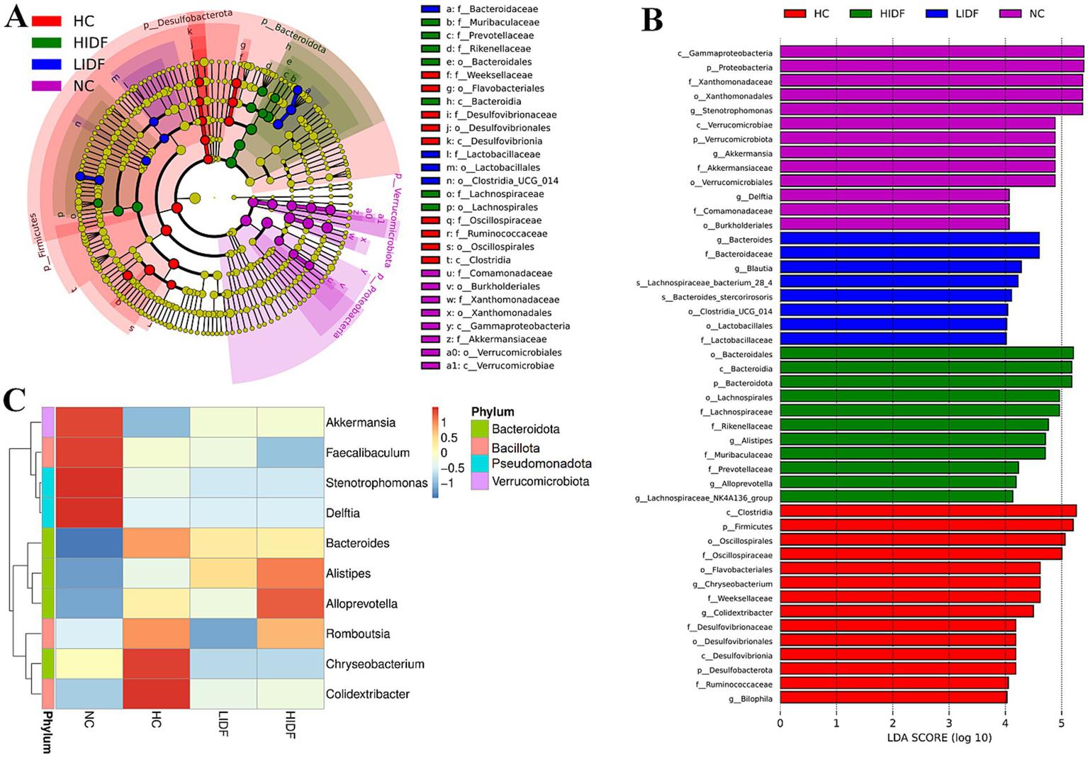 Panel A shows a circular cladogram representing microbial composition with different phyla and taxa labeled, color-coded by factors HC, HIDF, LIDF, and NC. Panel B is a bar chart illustrating LDA scores for various taxa across the same factors. Panel C presents a heatmap showing the abundance of genera across groups, with a color gradient indicating phylum variations.