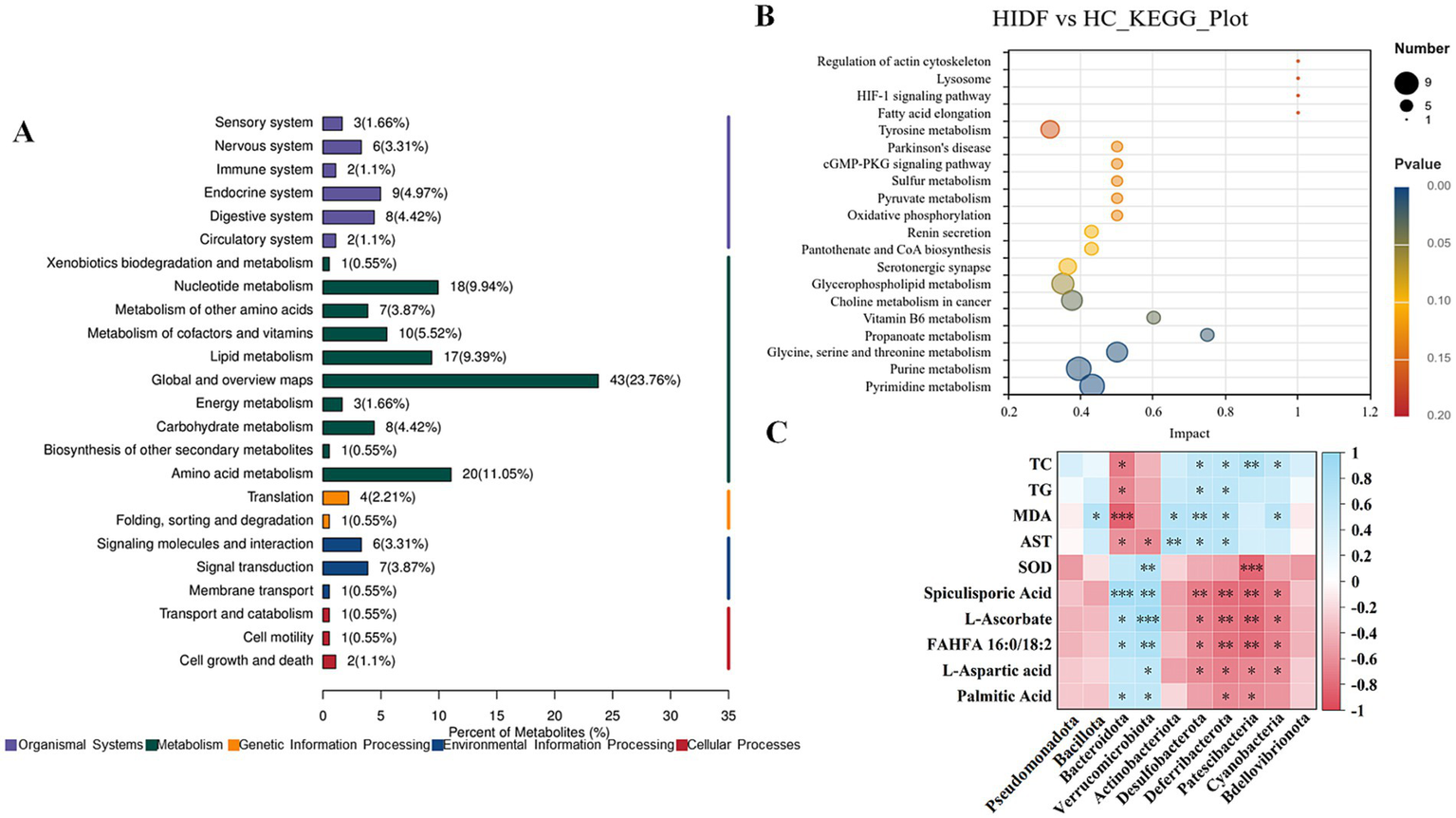 Panel A displays a horizontal bar chart categorizing metabolic and physiological systems by percentage of metabolites, with metabolism being the largest category. Panel B shows a bubble plot comparing biological pathways for HIDF and HC, with bubbles varying in size and color based on number and p-value. Panel C is a heat map illustrating correlations between different substances and bacteria, with color gradients indicating correlation strength and significance marked by asterisks.