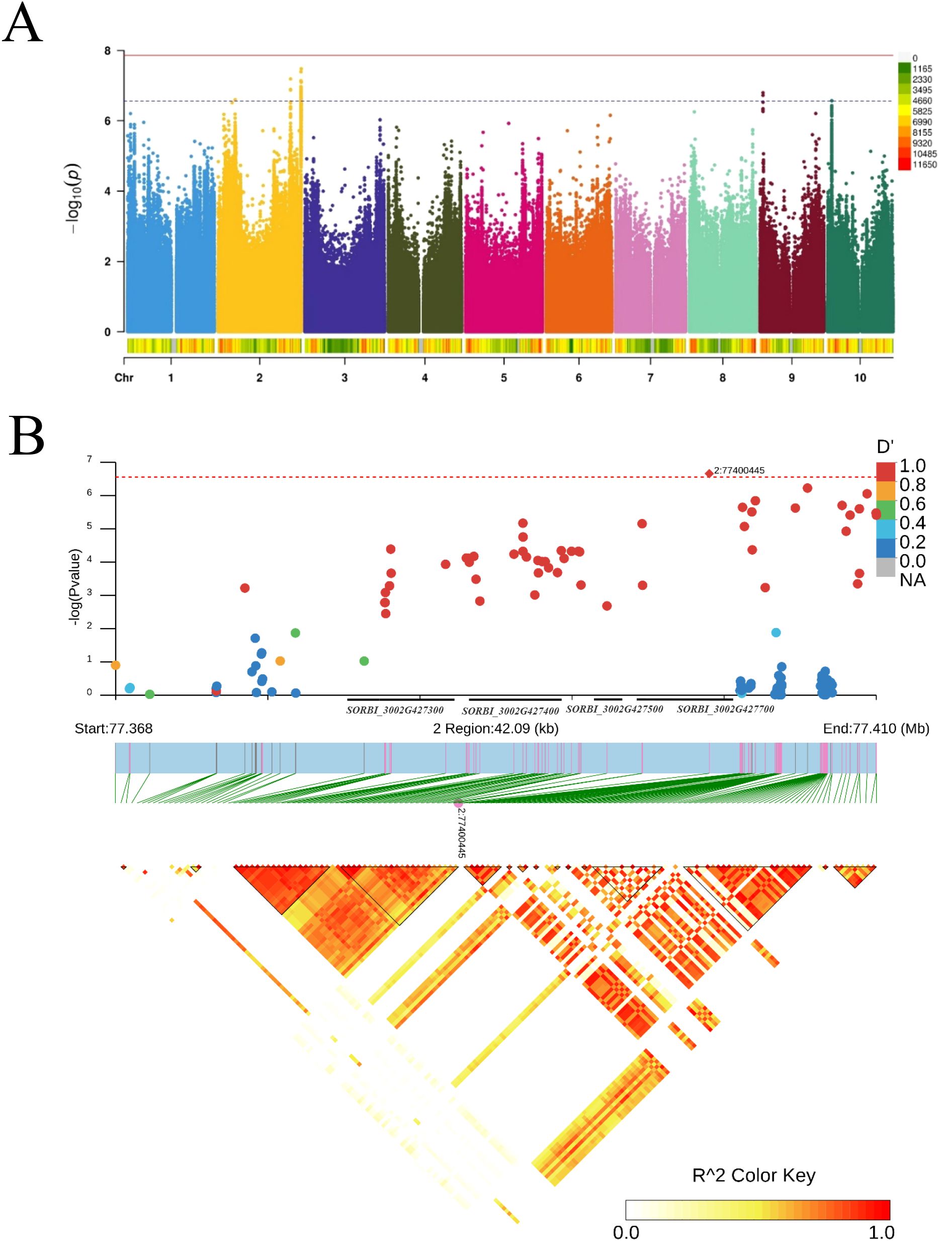 Panel A depicts a Manhattan plot showcasing genetic variations across chromosomes with different colors representing specific sections. Panel B includes a scatter plot of p-values, a regional association plot, and a linkage disequilibrium heatmap. Each section uses distinct color gradients to represent data significance and correlation.
