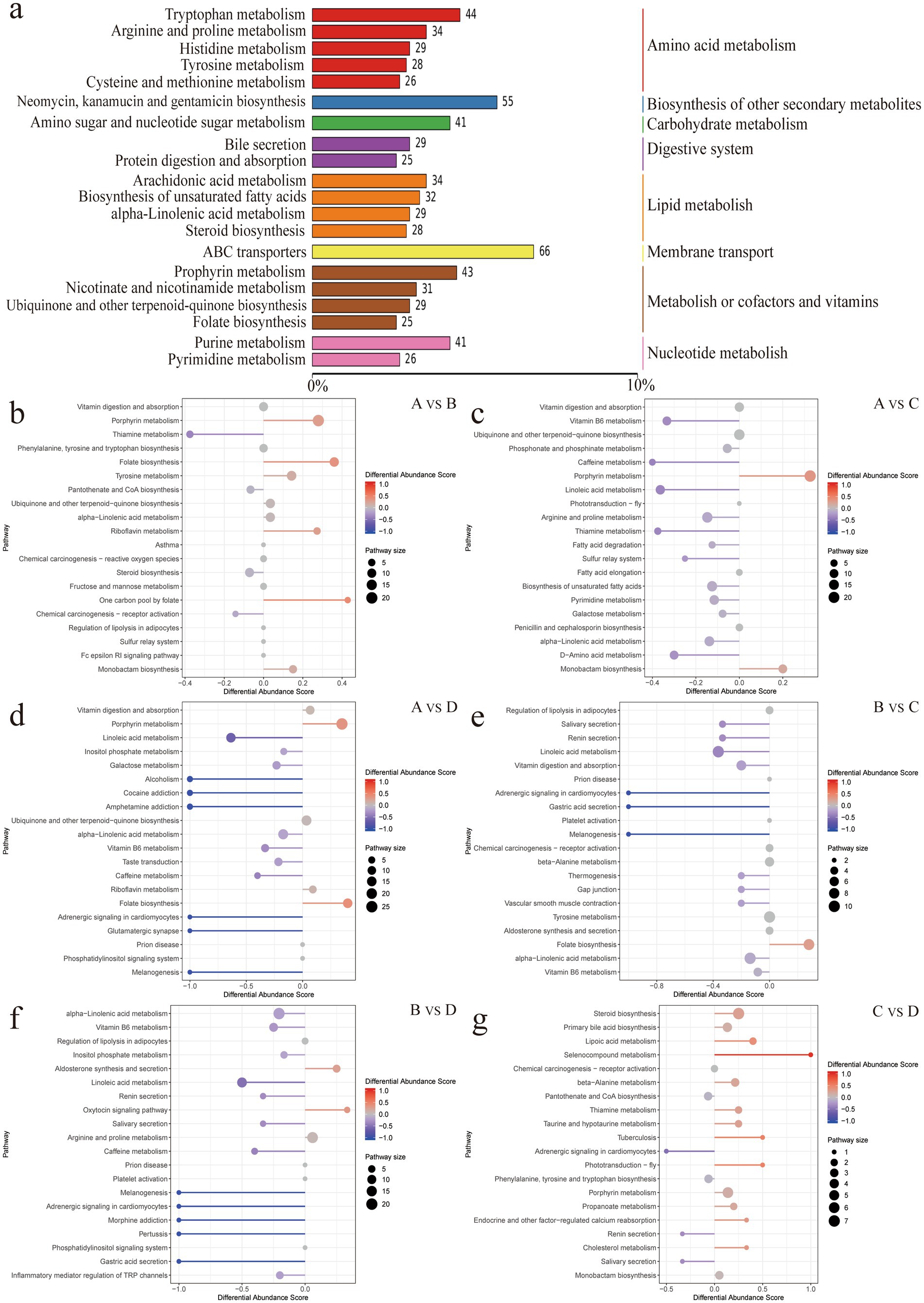 The image consists of a bar chart and several bubble plots comparing different metabolic pathways across various conditions labeled A, B, C, and D. The bar chart at the top shows percentages for pathways such as tryptophan metabolism, neomycin biosynthesis, and ABC transporters, among others, categorized by metabolic types. Below, bubble plots labeled b to g display differential abundance scores across comparisons such as A vs B and B vs D, with color gradients indicating score magnitude and bubble size representing pathway size. Each plot lists pathways like vitamin digestion, steroid biosynthesis, and phosphorus metabolism.
