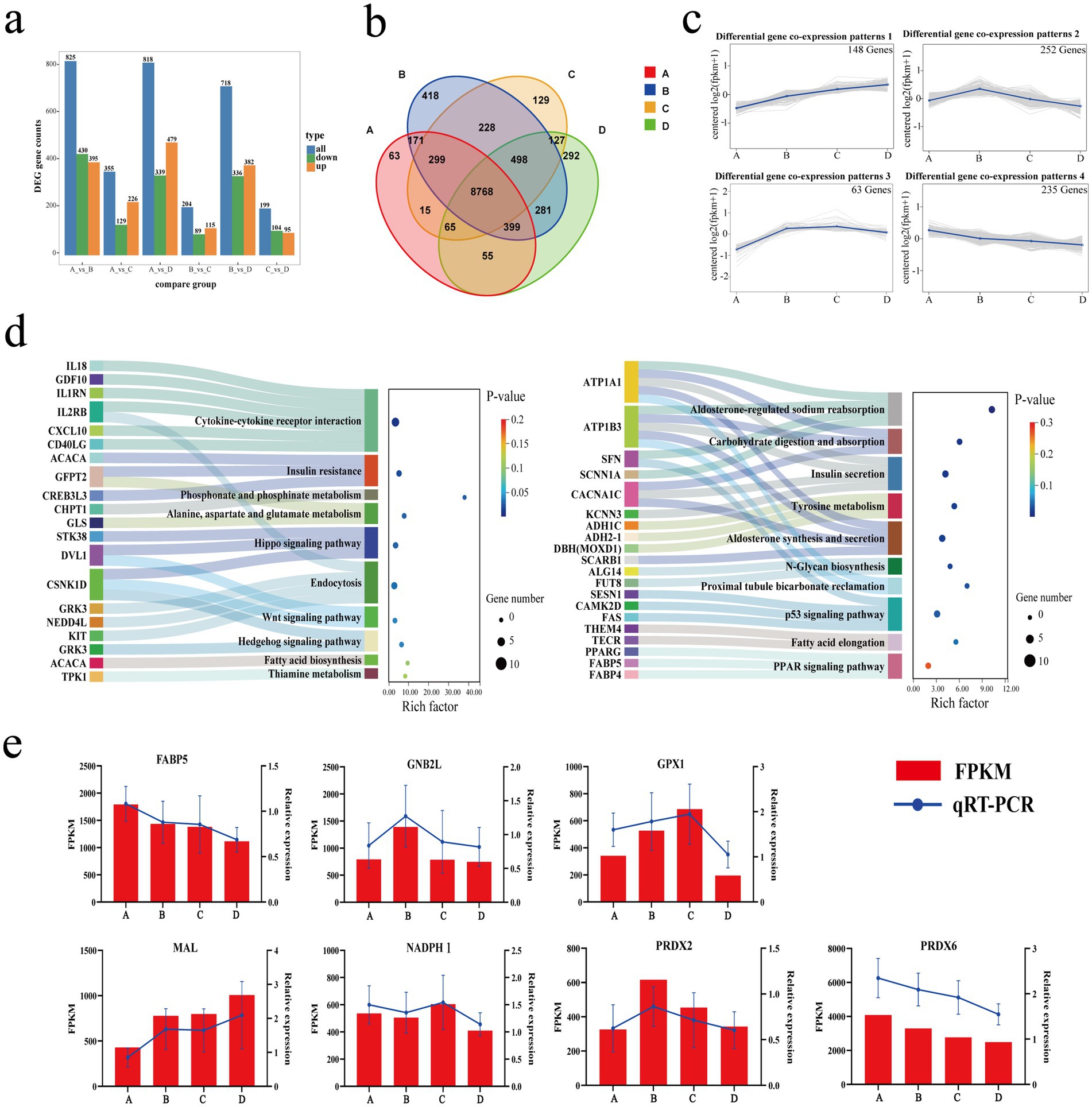 Chart collage showing: (a) Bar chart of DEGs across four groups (A-D) by type, with counts indicated. (b) Venn diagram showing intersections of DEGs among groups A-D. (c) Line graphs illustrating four differential gene co-expression patterns with log-transformed values. (d) Sankey diagrams connecting genes to pathways, with P-values, gene numbers, and rich factors displayed. (e) Bar and line charts comparing expression of genes FABP5, GNB1, GPX1, MAL, NADPH 1, PRDX2, and PRDX6 in groups A-D, using FPKM and qRT-PCR data.