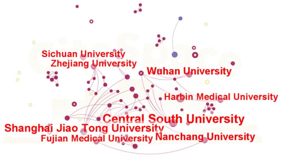 Network diagram showing connections among various universities. Notable names include Sichuan University, Zhejiang University, Wuhan University, Harbin Medical University, Central South University, Shanghai Jiao Tong University, Fujian Medical University, and Nanchang University. Nodes and lines indicate collaborations or associations.