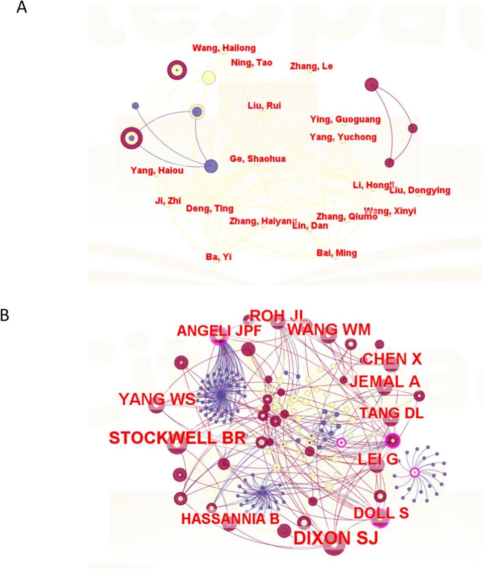 Diagram A shows a smaller, less dense network of connected nodes labeled with names such as Wang Hailong and Zhang Le. Diagram B displays a larger, more complex network with numerous interconnected nodes, featuring names like Stockwell BR and Yang WS. Both diagrams illustrate relationships or collaborations, with nodes representing individuals and lines indicating connections.