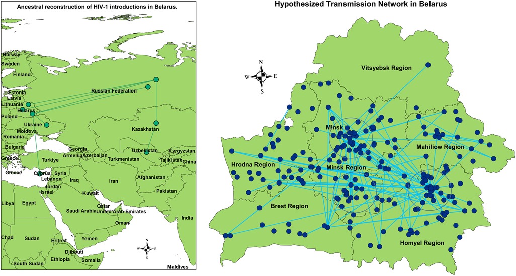 Map showing the ancestral reconstruction of HIV-1 introductions in Belarus. The left side displays connections from various countries, including Russia, Ukraine, and Cyprus, leading to Belarus. The right side illustrates a hypothesized transmission network within Belarus, highlighting regions like Minsk, Hrodna, and Homyel with numerous interconnected nodes.