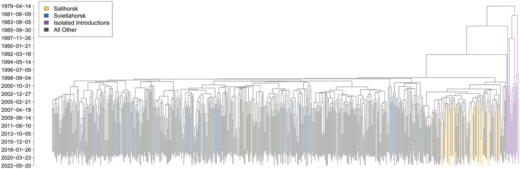 A phylogenetic tree showcasing HIV sequences from various dates ranging from April 14, 1979, to May 20, 2022. Different colors represent groups: orange for Salihorsk, blue for Svietlahorsk, purple for isolated introductions, and gray for all other data.
