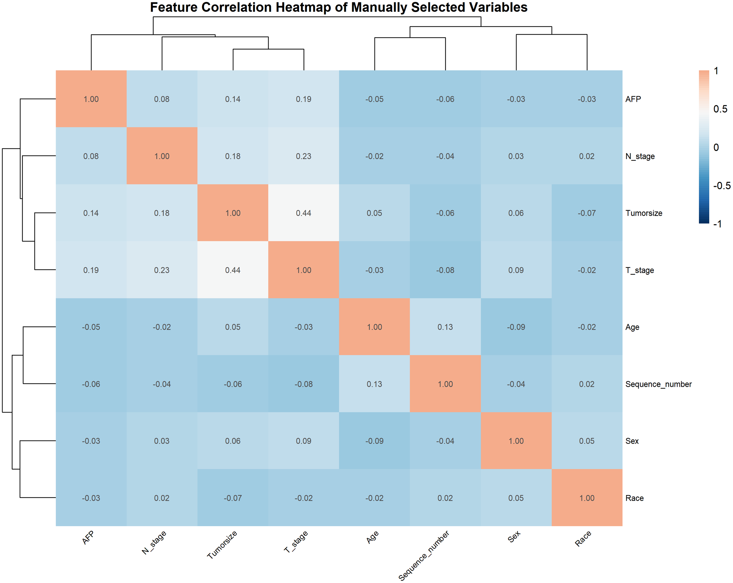 Feature correlation heatmap of manually selected variables showing relationships among AFP, N_stage, Tumorsize, T_stage, Age, Sequence_number, Sex, and Race. Positive correlations are in red, negative in blue, with intensities indicating strength.