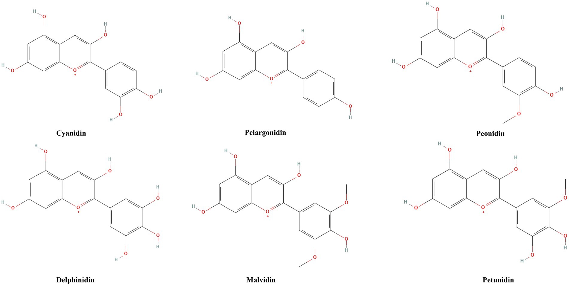 Chemical structures of six major anthocyanidins. Cyanidin, pelargonidin, peonidin, delphinidin, malvidin, and petunidin are the six main anthocyanins, which are distinguished from each other by the position and number of methoxy and hydroxyl groups in the structure of the flavylium ion.