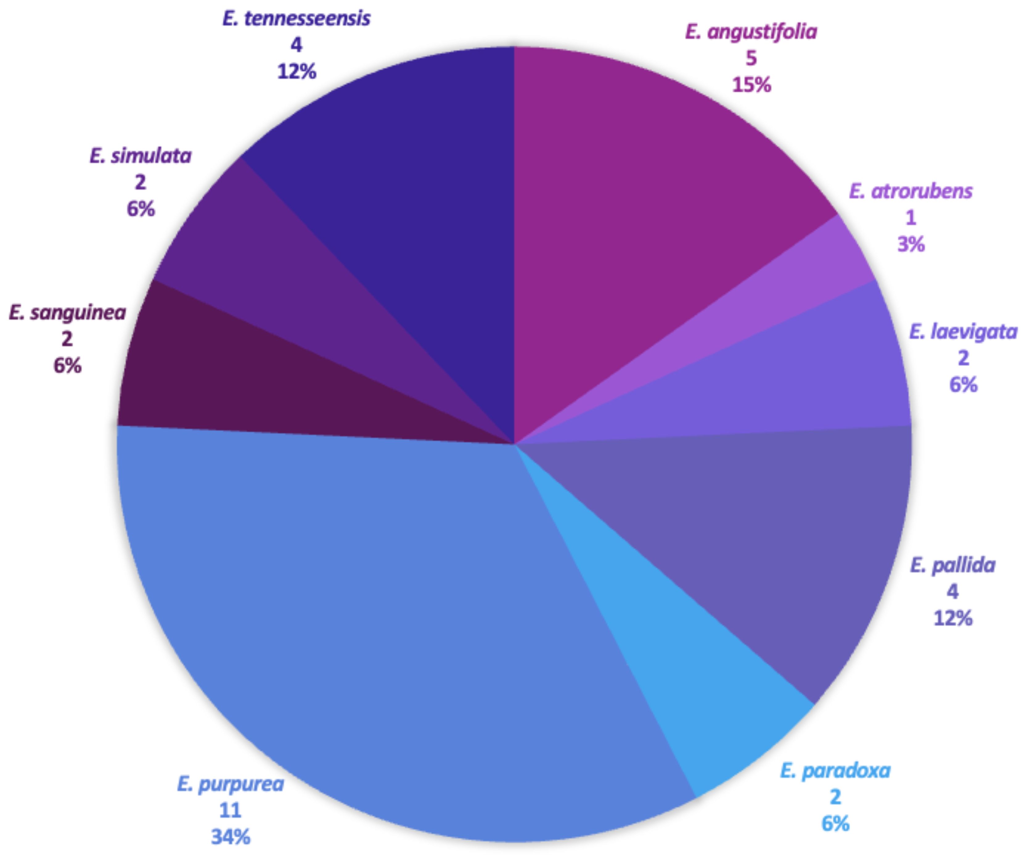 Pie chart displaying the number and percentage of total Echinacea samples included in the study. E. purpurea was the most intensively sampled species at thirty-four percent, followed by E. angustifolia at fifteen percent. Other species include E. tennesseensis and E. pallida each at twelve percent, with remaining species ranging from three to six percent.