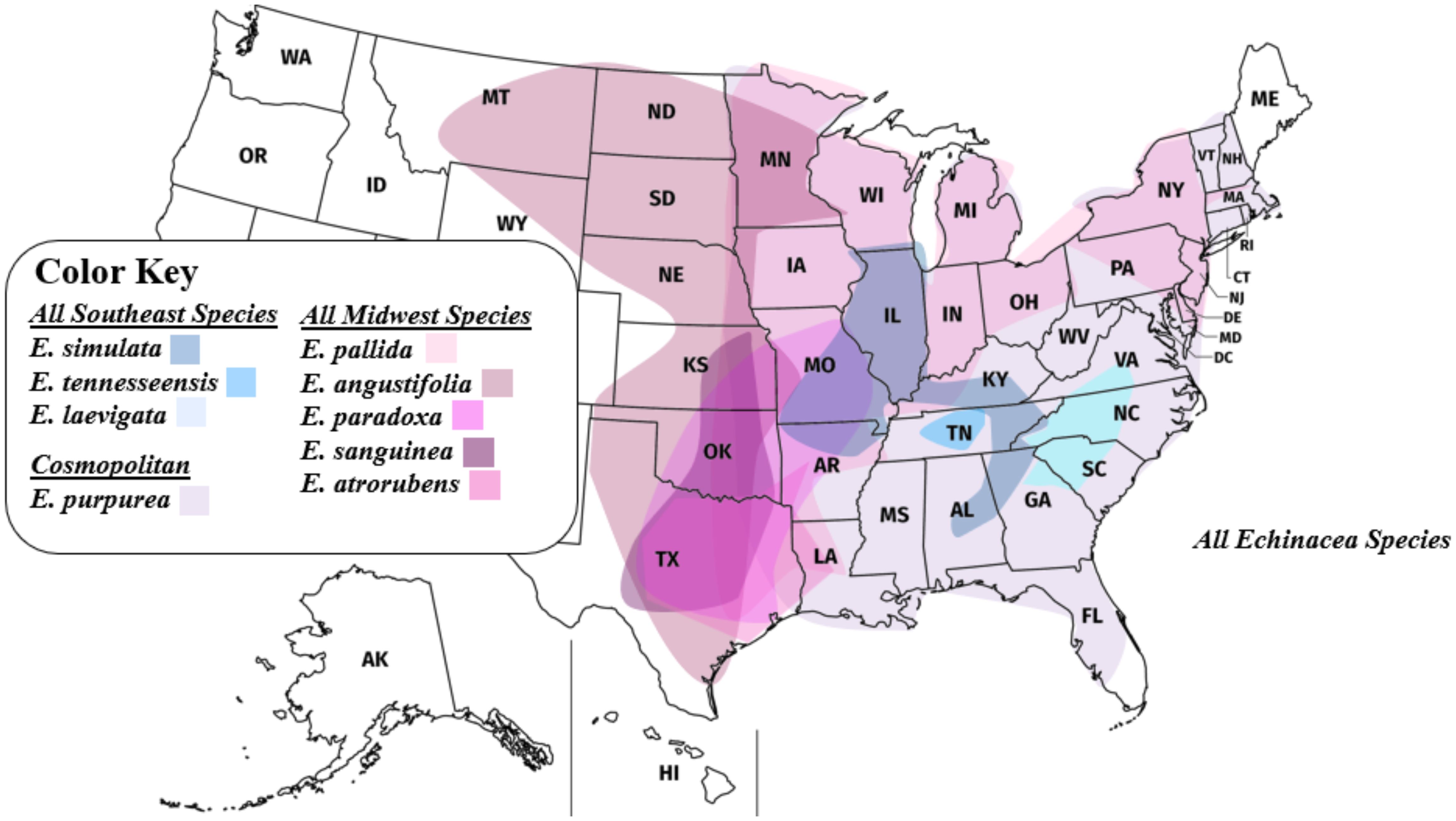 Map of the United States showing the distribution of Echinacea species across the Eastern U.S.. The color key indicates different species: Southeast species are represented in shades of blue, Midwest species in shades of pink, and the cosmopolitan Echinacea purpurea in light purple. Each state is labeled, with specific regions shaded to depict the presence of particular species.