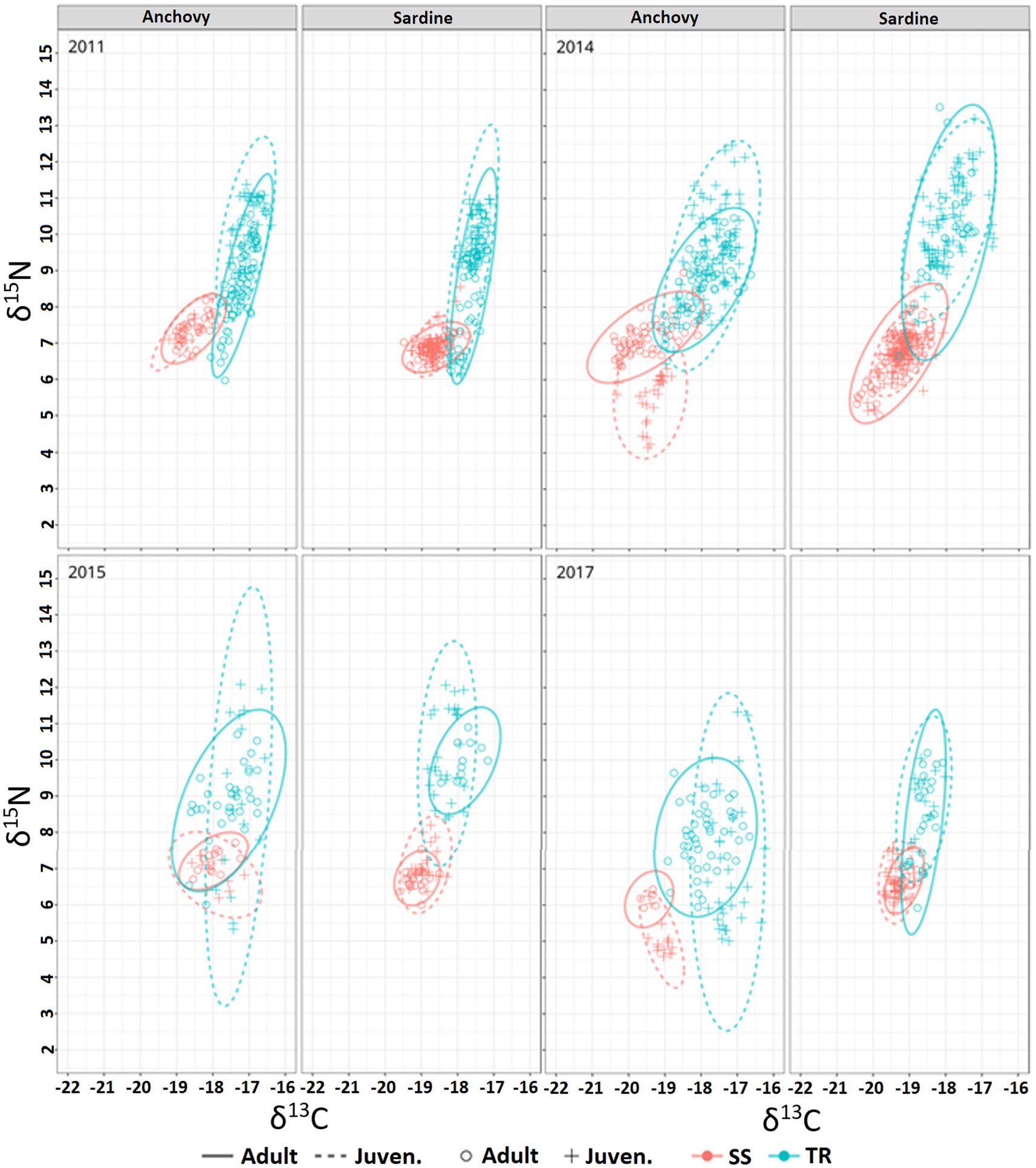Scatter plot panels showing isotopic data of anchovy and sardine from 2011 to 2017. The x-axis represents δ¹³C, and the y-axis represents δ¹⁵N. Each panel is labeled with a year and species, showing adult and juvenile data with ellipses indicating grouping. Blue represents sardine and red represents anchovy, with circles and crosses distinguishing adults and juveniles, respectively.