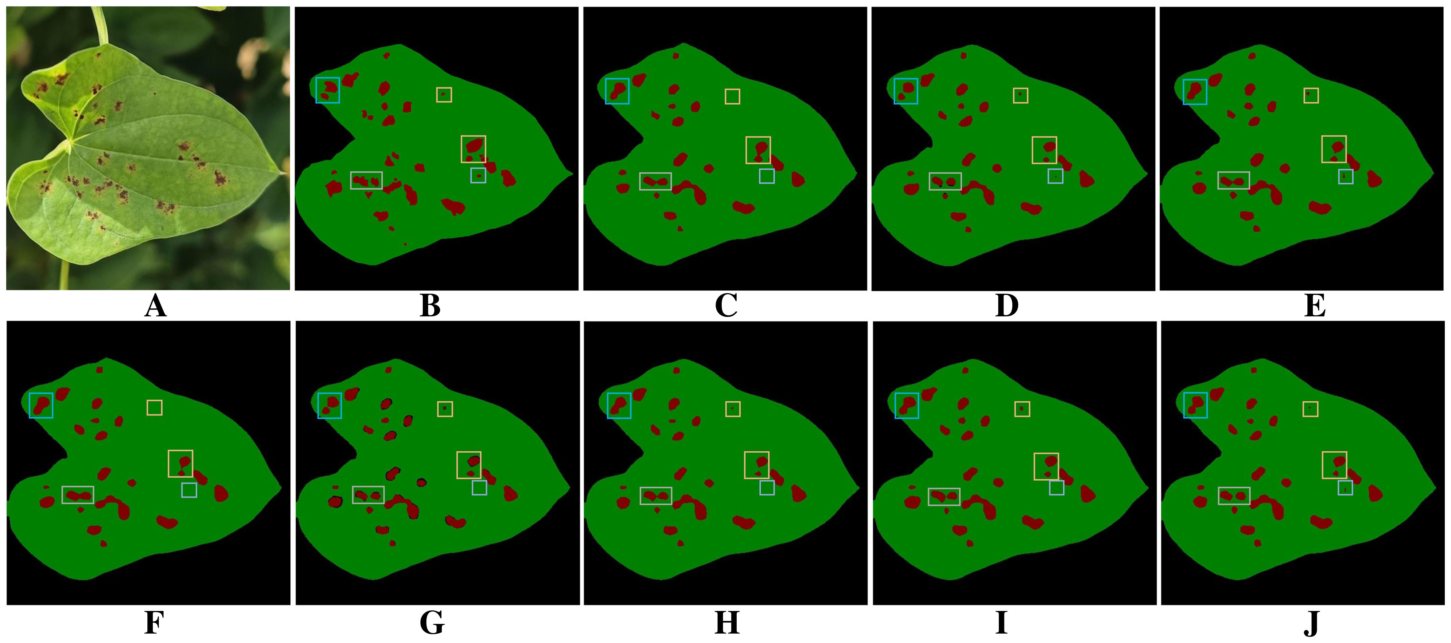 A composite image showing a green leaf with brown spots on the upper left, representing disease or damage. The remaining eight panels depict the same leaf in a schematic diagram, with red areas highlighting the spots, and colored boxes indicating specific analysis zones on a dark background.