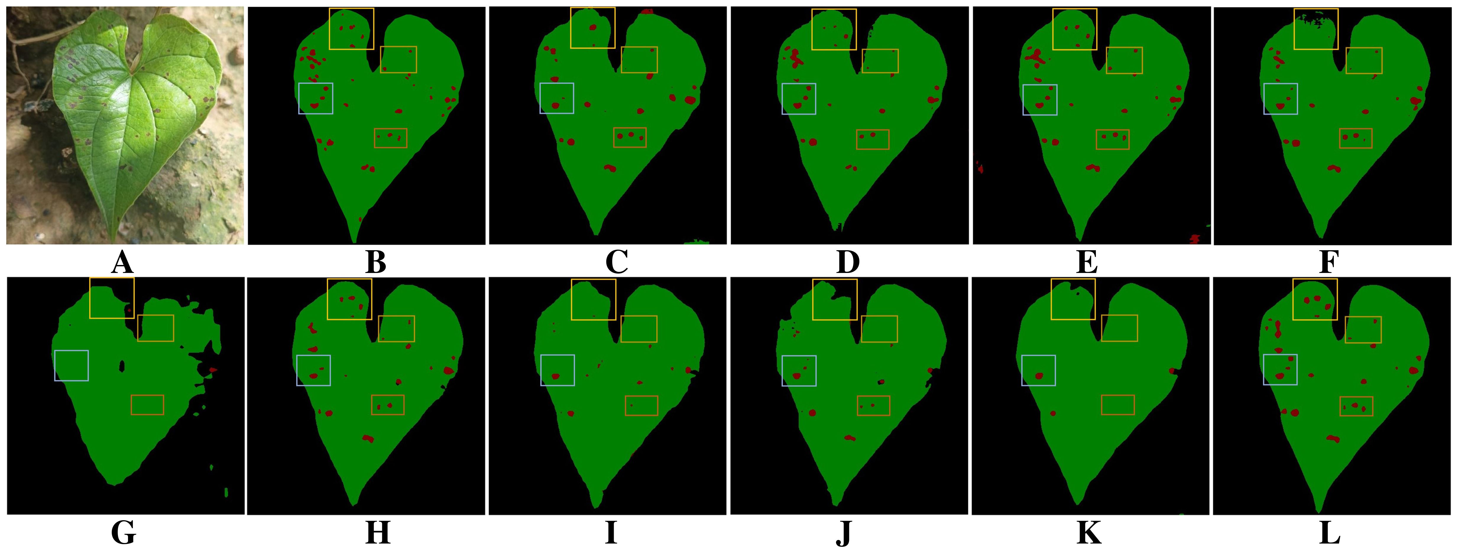 A series of images depicting a heart-shaped green leaf with speckled brown spots, likely indicating damage or disease. The first image shows the leaf naturally, while the subsequent images illustrate analysis with highlighted areas in various colors indicating regions of interest or concern. These highlight patterns, marked with boxes, appear overlaid on the leaf, showing differing analyses or segmentation results.