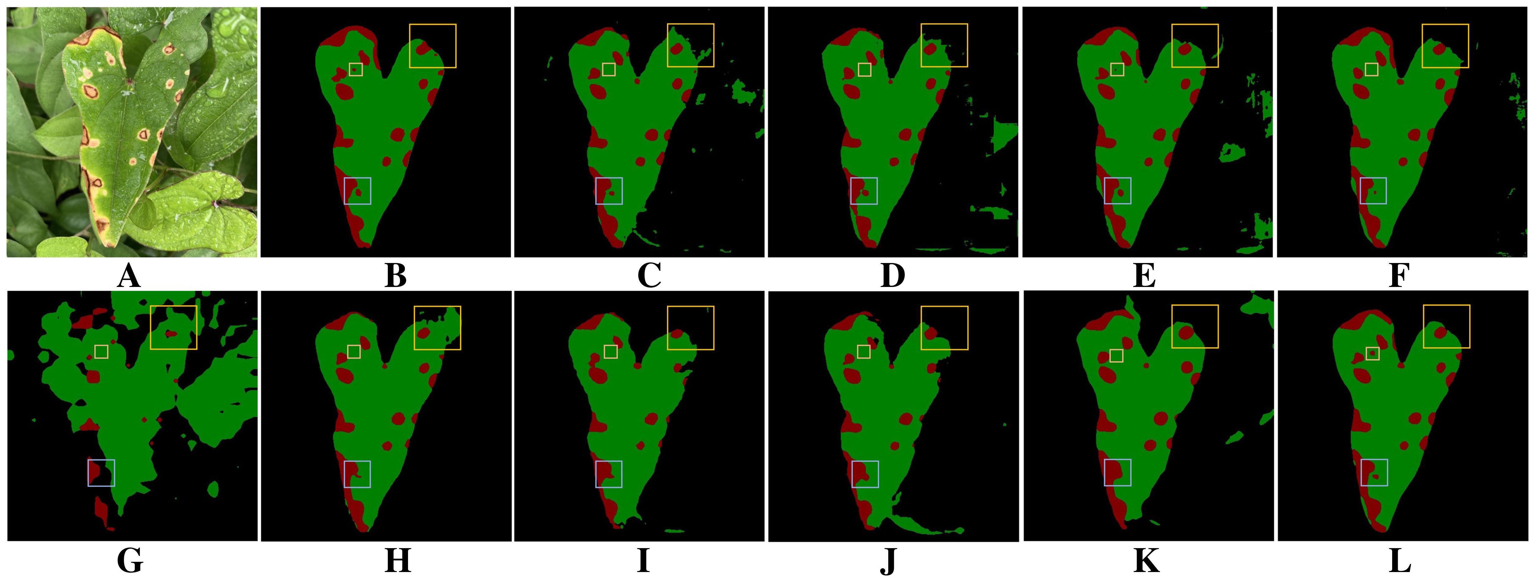 A series of images showing a leaf with disease spots and its segmentation analysis. The first image depicts a close-up of a leaf with brown lesions. The subsequent images display green and red segmented maps highlighting affected areas on the leaf. Each segmented map includes color-coded boxes in different positions for analysis.