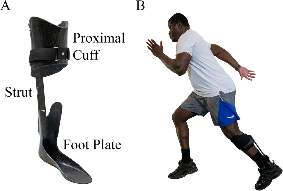 Diagram labeled A and B. A shows components of an orthotic device: proximal cuff, strut, and foot plate. B depicts a person running, wearing an orthosis on one leg, in athletic attire.
