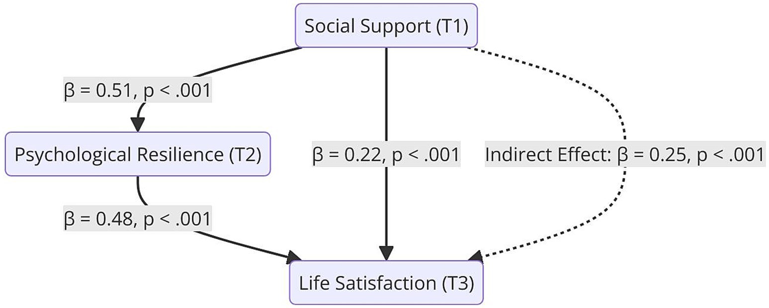 Diagram depicting relationships between social support, psychological resilience, and life satisfaction. Social support influences psychological resilience (β = 0.51, p < 0.001) and life satisfaction (β = 0.22, p < 0.001). Psychological resilience affects life satisfaction (β = 0.48, p < 0.001) with an indirect effect from social support on life satisfaction (β = 0.25, p < 0.001).