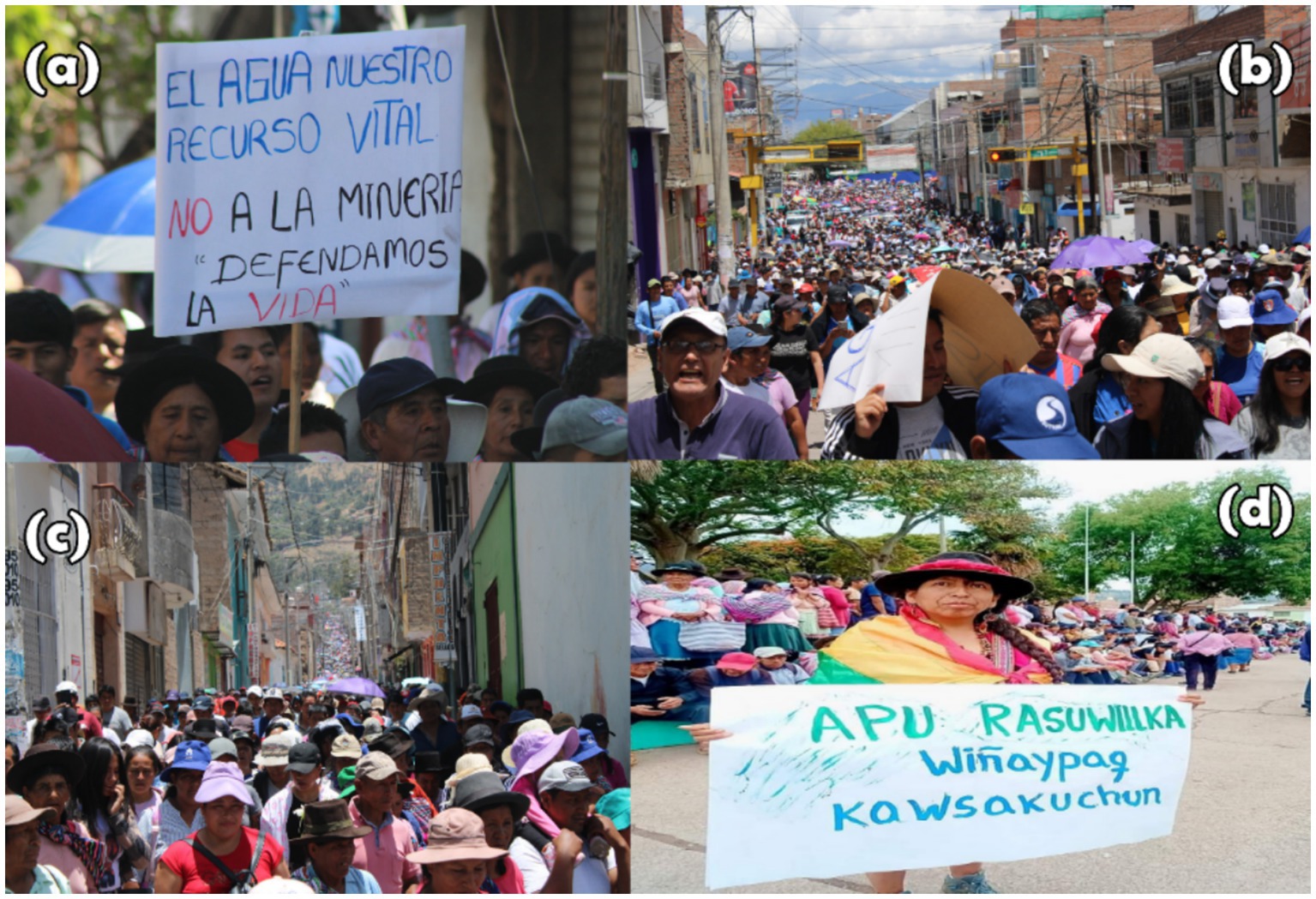 www.frontiersin.org