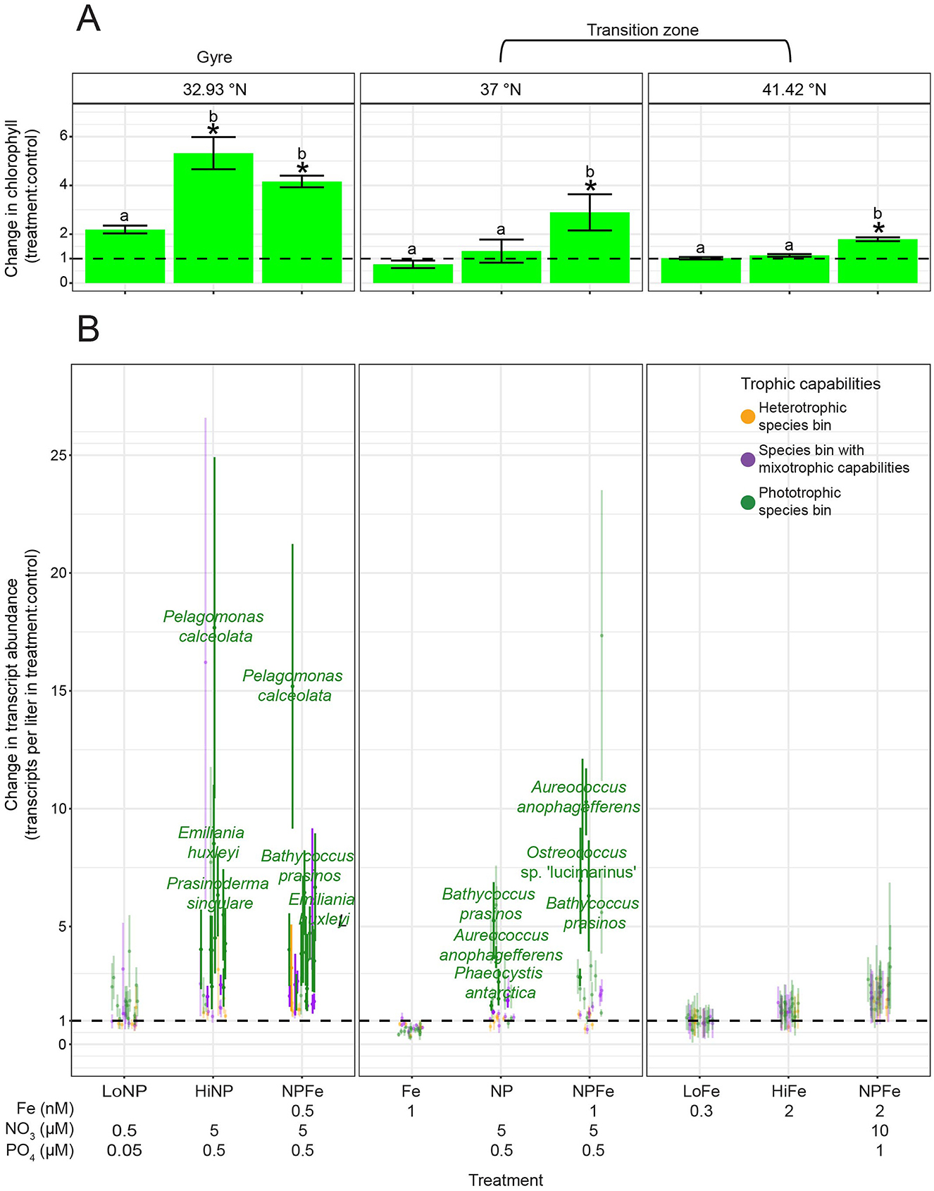 Graph A depicts changes in chlorophyll a concentration in response to incubations, conducted at three latitudes, in which different amounts of iron, nitrate, and phosphate were added. Graph B displays changes in transcript abundance of the 28 species bins of interest, color-coded by trophic capabilities, species bins with mixotrophic capabilities (purple), phototrophic specialists (green), and heterotrophic specialists (orange), in response to the same treatments.