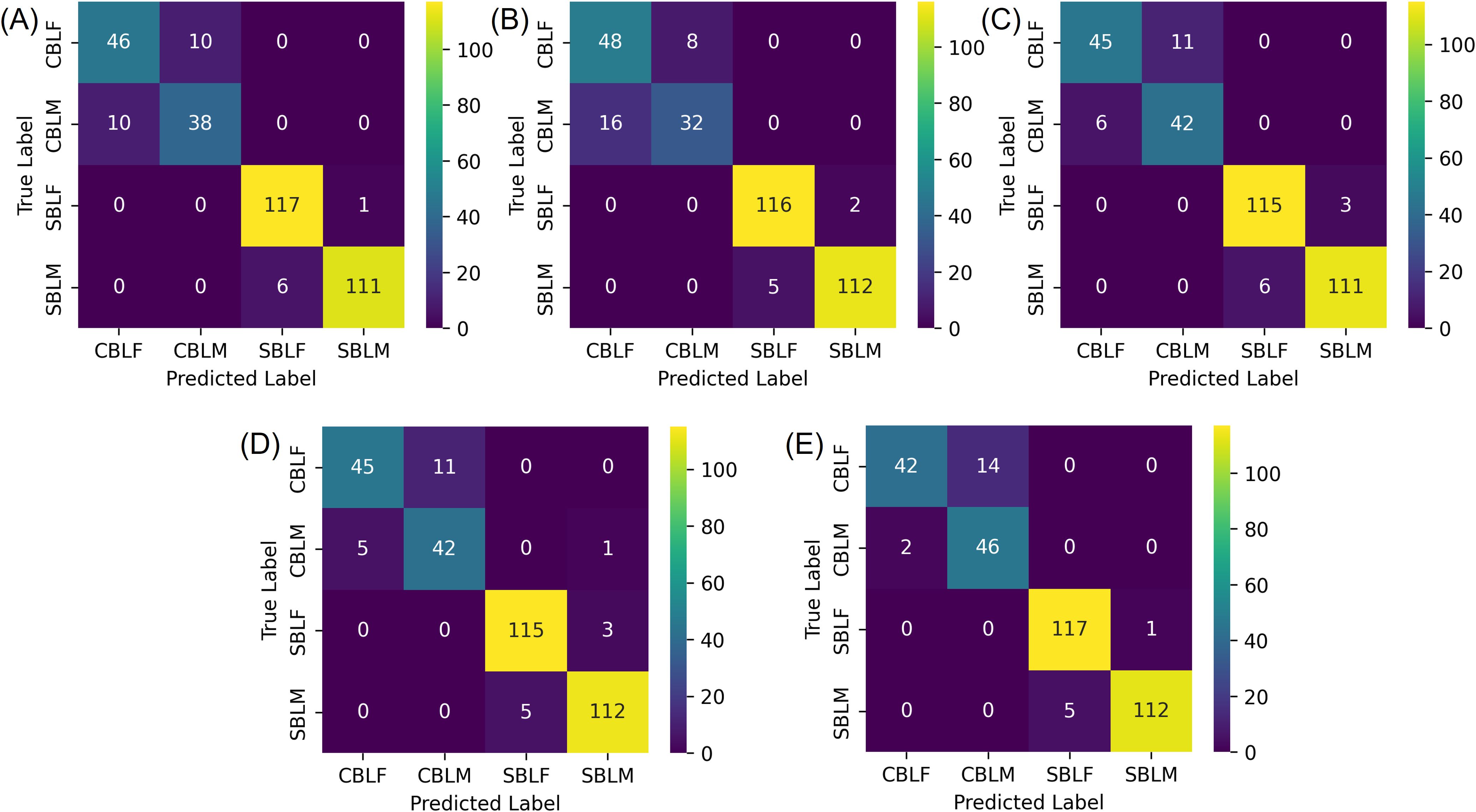 Five confusion matrices labeled A to E, each with true labels on the y-axis and predicted labels on the x-axis. The categories are CBLF, CBLM, SBLF, and SBLM. Colors range from purple to yellow, indicating values from 0 to over 100. Quantitative details vary across matrices, indicating different classification results.