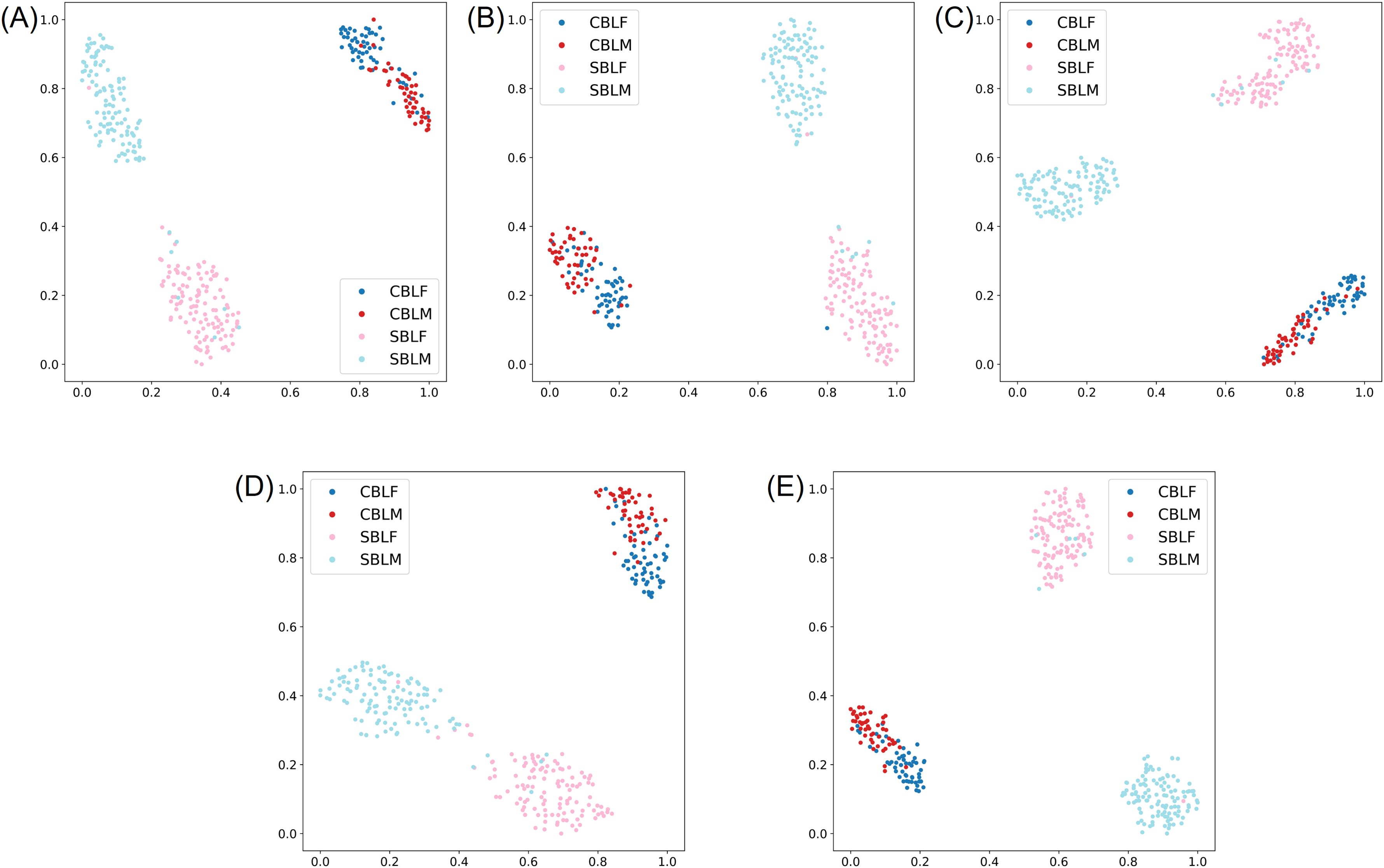 Five scatter plots labeled A to E, each showing distribution of four groups: CBLF, CBLM, SBLF, and SBLM, represented by different colors. Each plot has distinct cluster formations on a two-axis grid, varying across the plots.