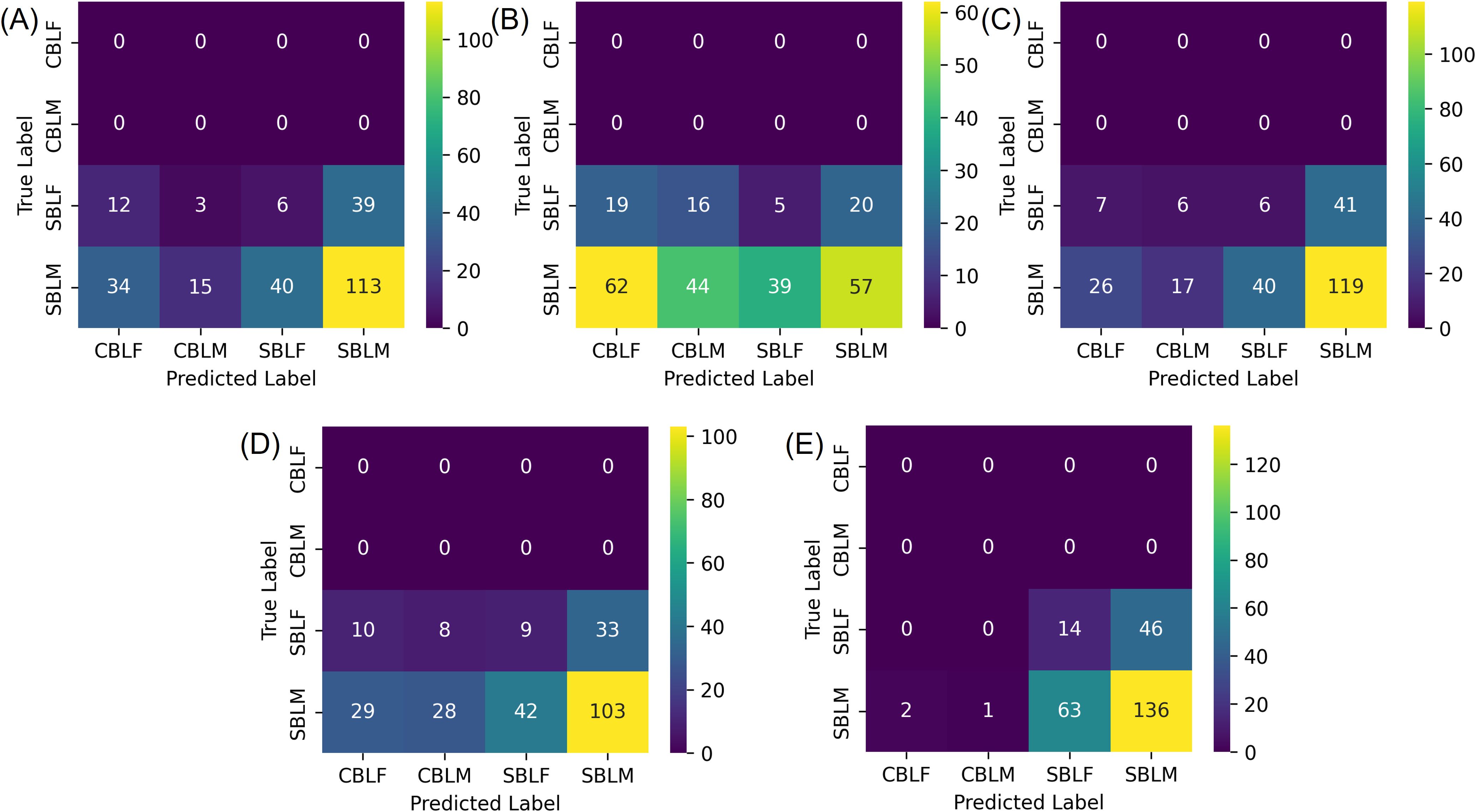 Five confusion matrices labeled A to E display predictions against true labels for four classes labeled CBLF, CBLM, SBLF, SBLM. Each matrix shows varied prediction frequencies, with SBLM having the highest correct predictions, highlighting its stronger model performance. Color scales represent frequency intensity.