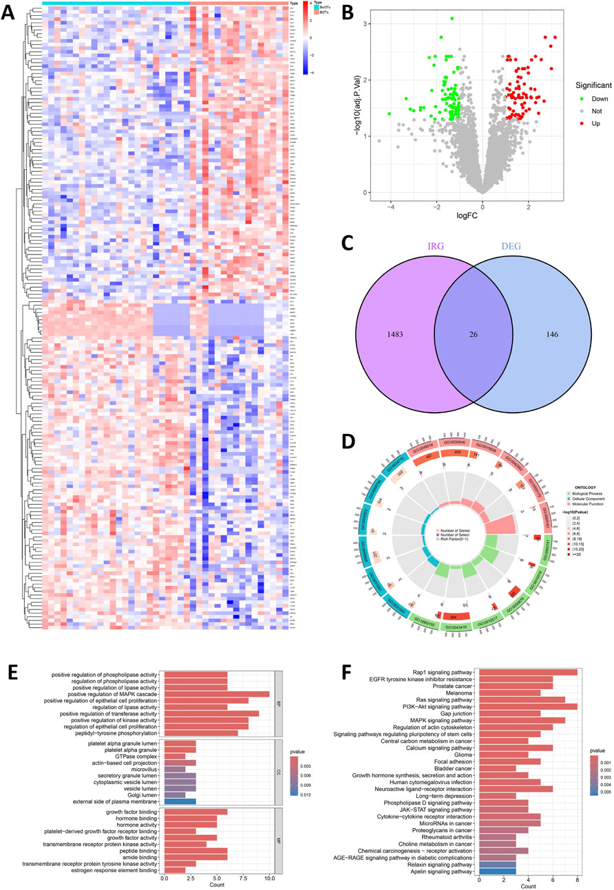 Panel A shows a heatmap with varying color intensities representing gene expression levels. Panel B is a volcano plot highlighting differentially expressed genes in red and green. Panel C is a Venn diagram depicting overlaps between two gene groups with labeled quantities. Panel D illustrates a circular diagram with gene ontology annotations. Panels E and F are bar charts displaying counts of gene ontology terms and signaling pathways, respectively, with p-values indicated by color gradients.