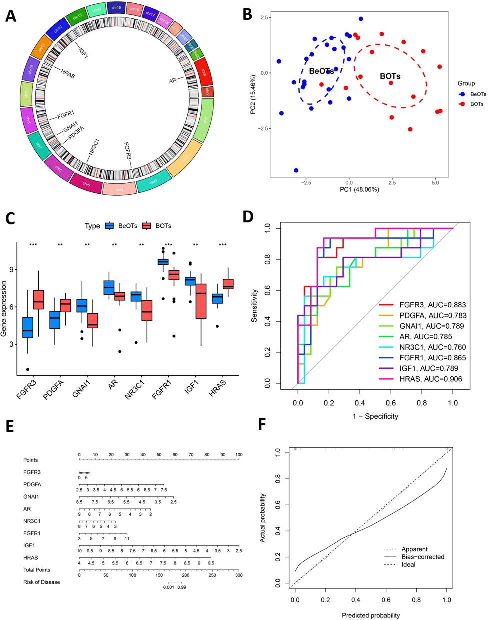 A series of six panels display various data visualizations related to genetic analysis. Panel A shows a circular plot with labeled gene sections, indicating chromosomal locations. Panel B presents a PCA plot with two clusters, BeOTs in blue and BOTs in red. Panel C is a box plot comparing gene expression levels between BeOTs and BOTs for different genes. Panel D is a ROC curve with AUC values for various genes. Panel E features a nomogram correlating gene expression with disease risk. Panel F displays a calibration plot comparing actual versus predicted probabilities.