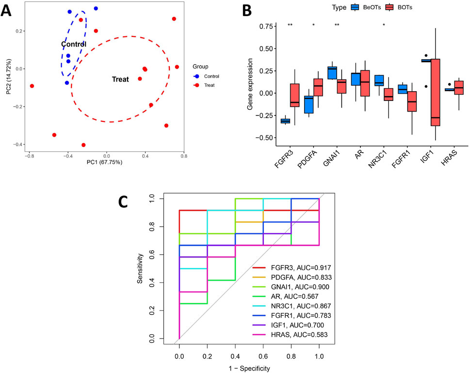 Panel A presents a scatter plot of principal component analysis with blue and red dots representing control and treatment groups, respectively. Panel B displays a box plot comparing gene expression levels of different genes between BeOTs and BOTs, with significant differences indicated by asterisks. Panel C shows a ROC curve with different colored lines representing various genes, labeled with their respective AUC values.