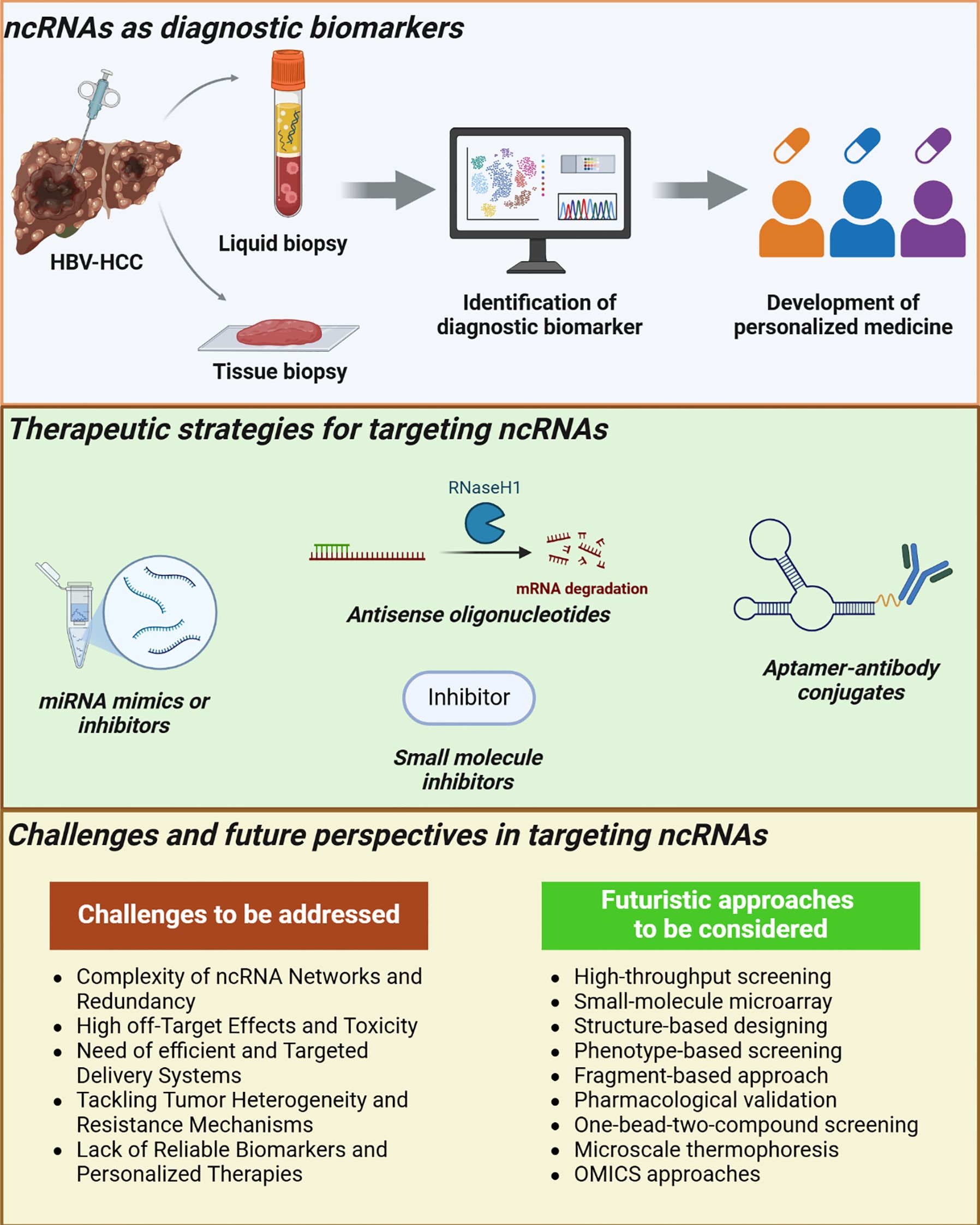 Illustration depicting the role of non-coding RNAs as diagnostic biomarkers and therapeutic targets. The top section shows a syringe and liver representing biopsy processes leading to personalized medicine. The middle section presents therapeutic strategies like miRNA mimics, antisense oligonucleotides, and aptamer-antibody conjugates. The bottom section lists challenges such as high off-target effects and lack of reliable biomarkers, alongside futuristic approaches like high-throughput screening and OMICS approaches.