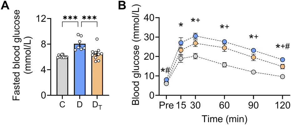 Panel A shows a bar graph of fasted blood glucose levels in three groups: C, D, and D_T. Group D has significantly higher glucose levels than groups C and D_T. Panel B is a line graph showing blood glucose over time in the same groups, with glucose levels increasing to a peak at 30 minutes and then decreasing. Group D has consistently higher glucose levels than groups C and D_T throughout the time course. Statistical significance is indicated by symbols above the bars and lines.