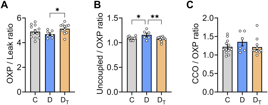 Bar graphs labeled A, B, and C compare three groups: C, D, and D_T. Graph A shows OXP/Leak ratios with D_T higher than D, marked by an asterisk. Graph B shows uncoupled/OXP ratios with D highest and asterisks indicating significance between groups. Graph C shows CCO/OXP ratios with no significant differences marked. Data points displayed above bars.