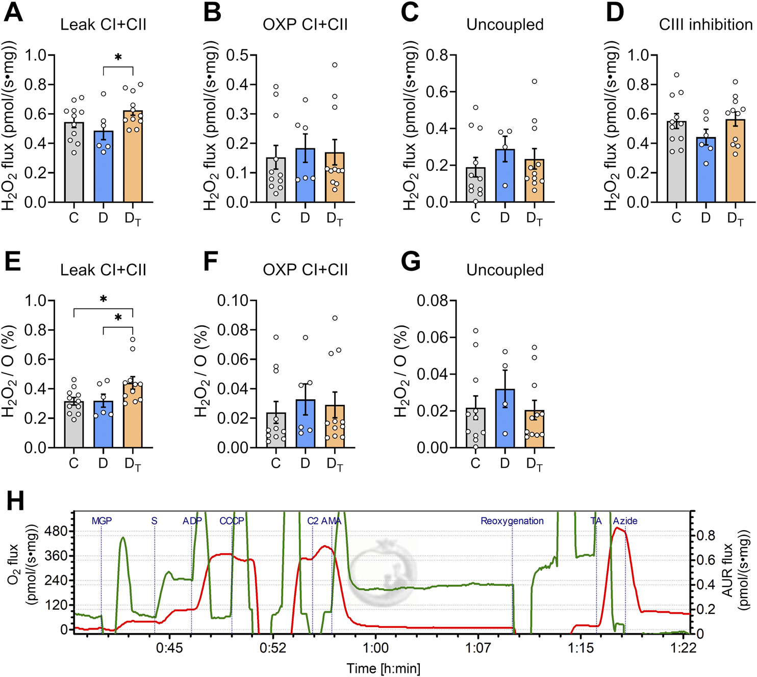 Graphs display various measures of hydrogen peroxide (H₂O₂) flux and percentages in experiments labeled A to G, analyzing different conditions: Leak CI+CII, OXP CI+CII, Uncoupled, and CIII inhibition. Each graph shows three groups labeled C, D, and Dₜ, with significant differences marked by asterisks. Panel H presents a time‐course plot of oxygen flux and fluorescence over a specified period, showing peaks and troughs corresponding to experimental interventions like MGP, CCCP, and Azide.