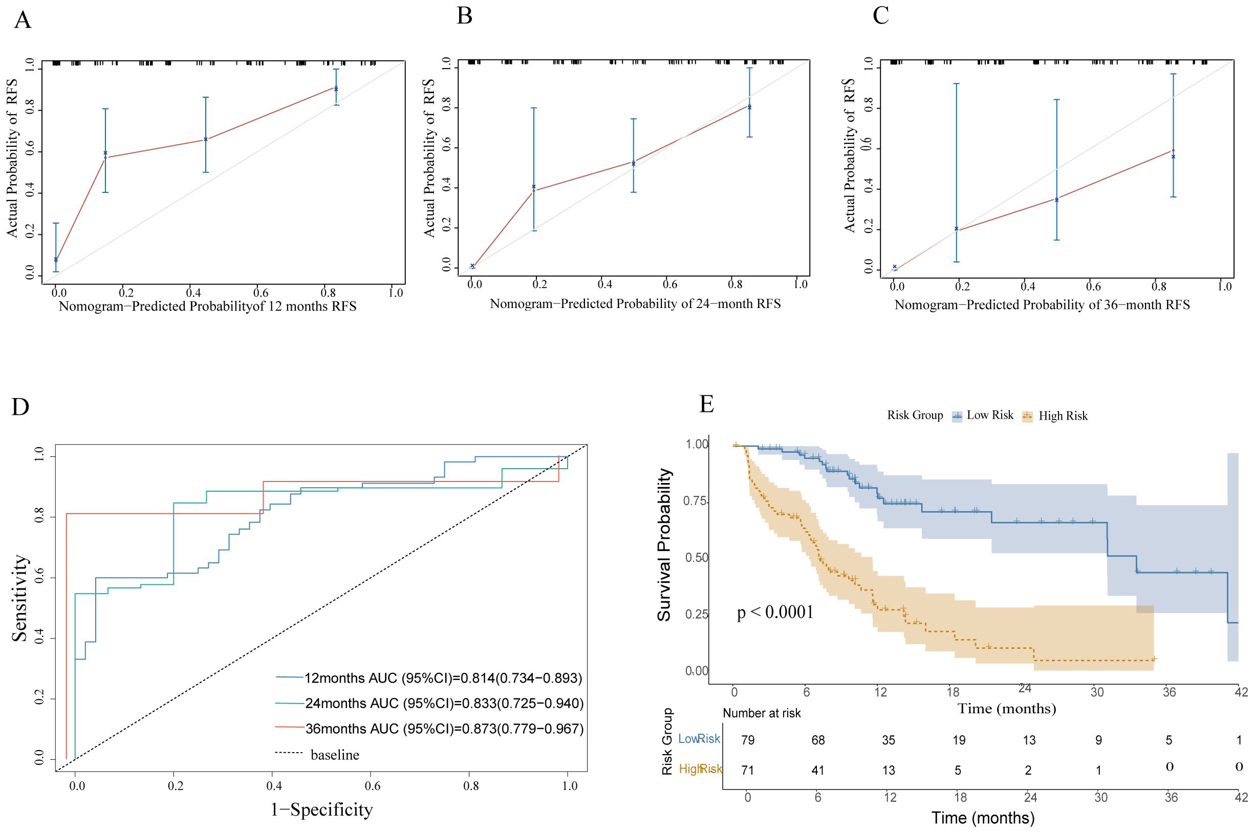 Five-part graphical data analysis. Panels A, B, C show calibration plots comparing actual versus predicted recurrence-free survival (RFS) probabilities at 12, 24, and 36 months respectively, with error bars. Panel D depicts receiver operating characteristic (ROC) curves with area under the curve (AUC) values for each timeframe, indicating predictive accuracy. Panel E presents a Kaplan-Meier survival curve comparing low and high-risk groups over 42 months, with a significant p-value less than 0.0001. The risk group legends and number at risk are provided.