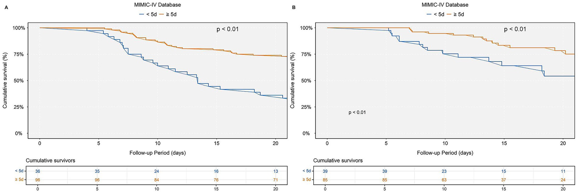 Kaplan-Meier survival curves from the MIMIC-IV Database show cumulative survival over a 20-day follow-up. Graphs A and B compare survival between groups with hospital stays less than five days (blue) and five days or more (orange). Both graphs indicate a significant difference in survival rates (p < 0.01), with higher survival in the group with longer hospital stays. The x-axis represents time in days, and the y-axis shows cumulative survival percentage. Cumulative survivor numbers are displayed below each graph.