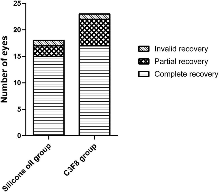 Bar chart comparing recovery in two groups: Silicone oil and C3F8. The chart shows three recovery levels: complete, partial, and invalid. C3F8 group has more eyes in each recovery category than the Silicone oil group.