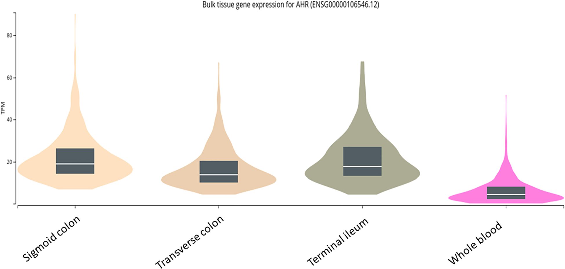 Violin plot showing bulk tissue gene expression for AHR (gene code ENSG0000106546.12) across four tissues: sigmoid colon, transverse colon, terminal ileum, and whole blood. Expression levels, measured in Transcripts Per Million (TPM), range from zero to eighty-five. Each violin plot includes a box plot indicating median and interquartile range.