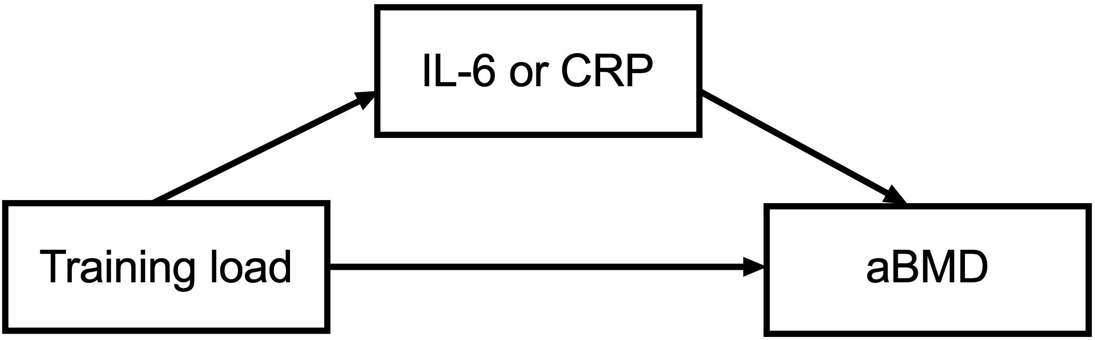 Flowchart illustrating the hypothetical relationship between training load, IL-6 or CRP, and aBMD. Training load influences both IL-6 or CRP and aBMD, while IL-6 or CRP also affects aBMD.