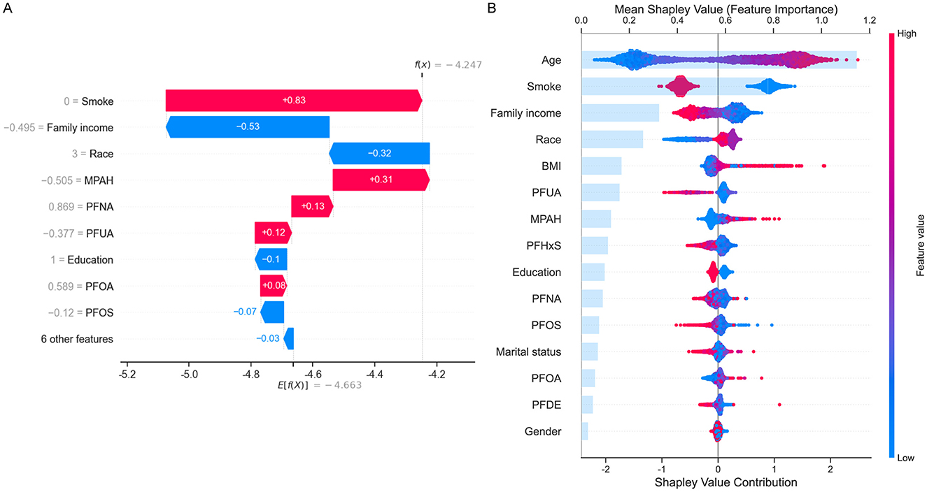 Two panels illustrate the impact of various features using SHAP values. Panel A shows a waterfall plot with features such as smoking, family income, and race impacting predictions, with smoking having the most significant influence. Panel B displays a summary plot with violin distributions for each feature, revealing age and smoking's high importance. Red indicates higher feature values, while blue shows lower. The feature contributions range from negative to positive, affecting the model's output.