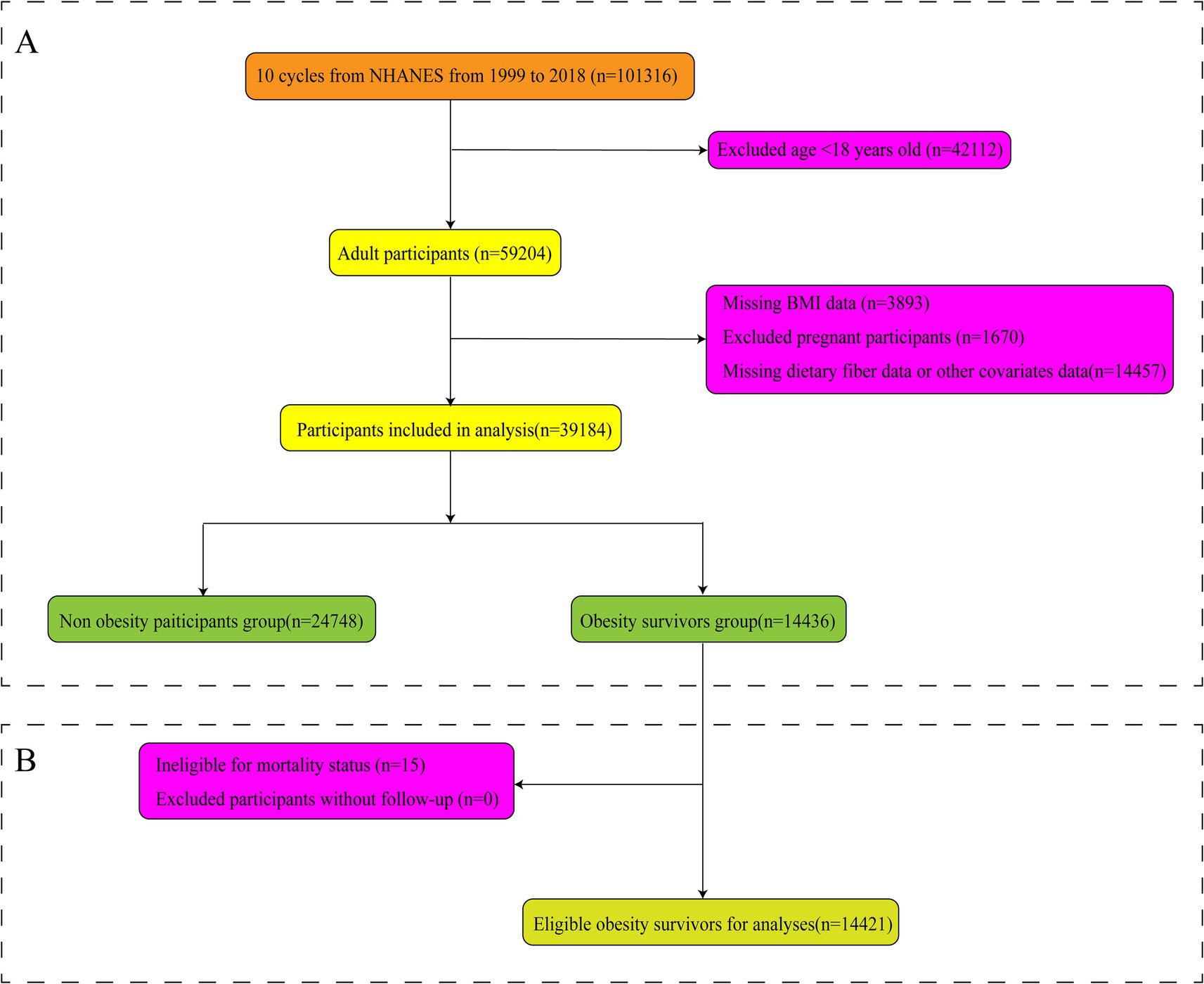 Flowchart of participant selection for a study analyzing data from NHANES 1999-2018. Starting with 101,316 participants, 42,112 under 18 were excluded. Of 59,204 adults, 19,020 were excluded for missing data or other factors, leaving 39,184 for analysis. These were divided into a non-obesity group (24,748) and obesity survivors (14,436). Of the obesity group, 15 were ineligible for mortality status, leaving 14,421 eligible for further analysis.