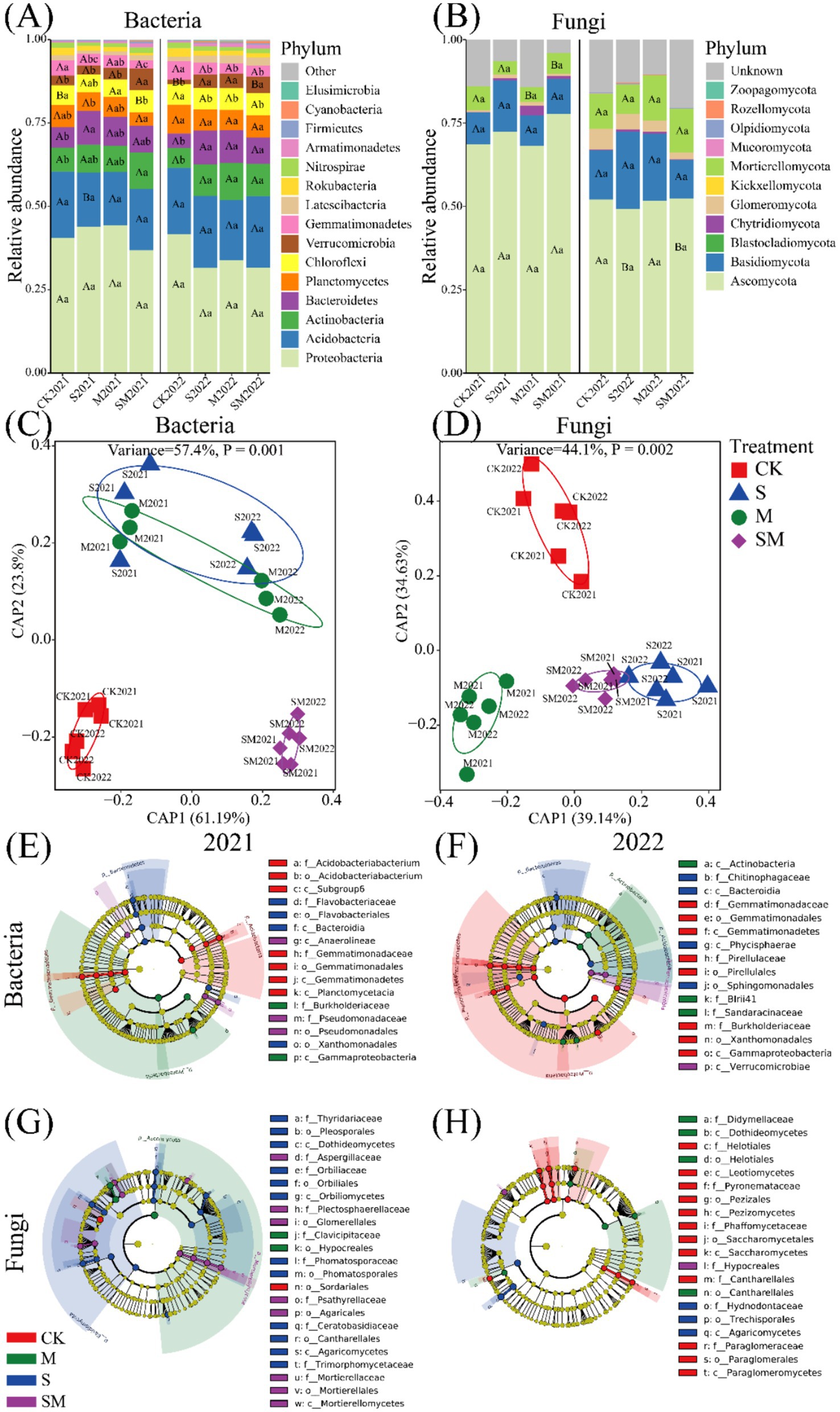 (A) Stacked bar chart showing relative abundance of bacterial phyla over different samples. (B) Stacked bar chart showing relative abundance of fungal phyla over different samples. (C) CAP analysis of bacterial communities with variance explained and statistical significance. (D) CAP analysis of fungal communities with variance explained and statistical significance. (E) Circular phylogenetic tree of bacterial taxa for 2021. (F) Circular phylogenetic tree of bacterial taxa for 2022. (G) Circular phylogenetic tree of fungal taxa for 2021. (H) Circular phylogenetic tree of fungal taxa for 2022. Treatments include CK, S, M, and SM.