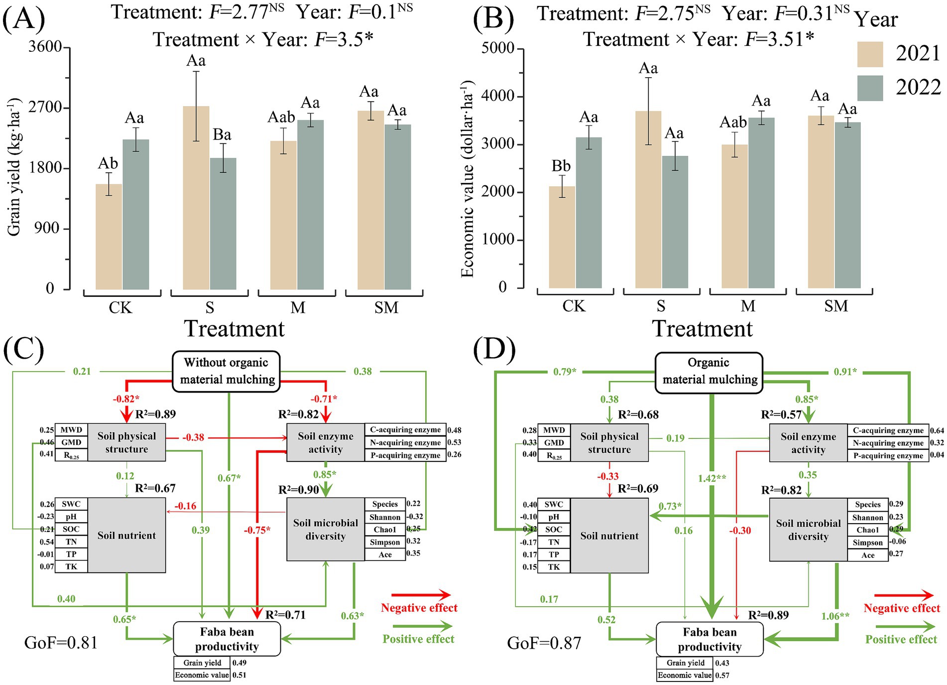 Bar graphs and path models show the effects of different treatments on faba bean productivity. (A) and (B) depict grain yield and economic value across treatments CK, S, M, and SM for 2021 and 2022. (C) and (D) illustrate the relationships between soil physical structure, nutrient levels, enzyme activity, and microbial diversity, highlighting the impact of organic material mulching versus no mulching on faba bean productivity, marked by positive and negative effects. Statistical measures are included with significance levels.