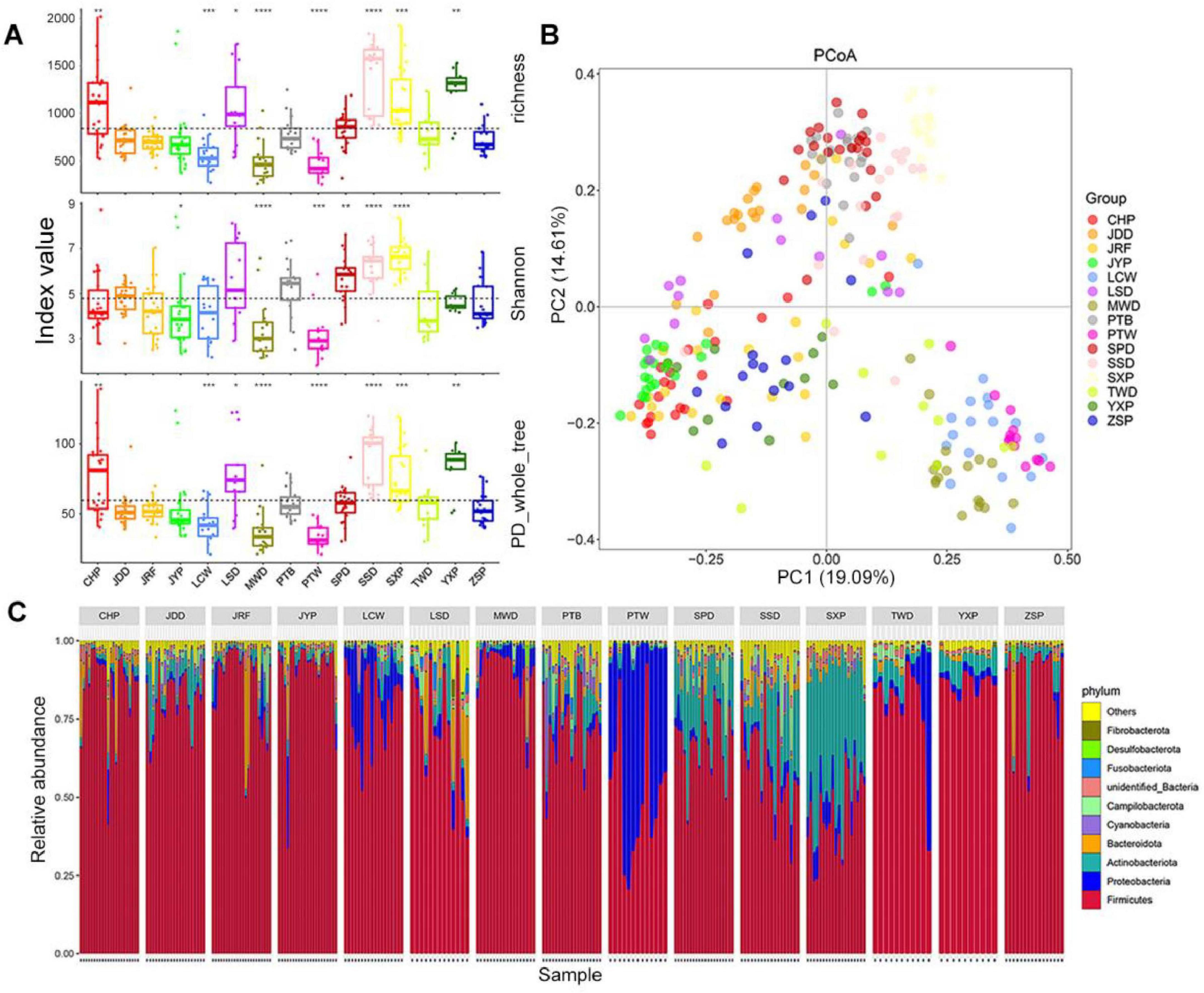 Three-part figure showing microbiome data. Part A: Box plots of index values for species richness, Shannon index, and phylogenetic diversity across different groups, each represented by a different color. Part B: PCoA plot with samples positioned based on PC1 and PC2, showing clustering of groups using different colors. Part C: Stacked bar chart of relative abundance of microbial phyla across samples, illustrating distributions in each sample group.